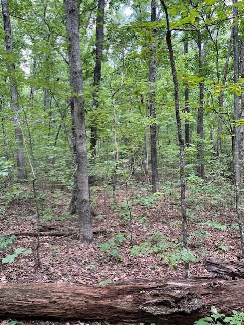 Graysville, Tennessee, 37338, United States, ,Residential,For Sale,1943907