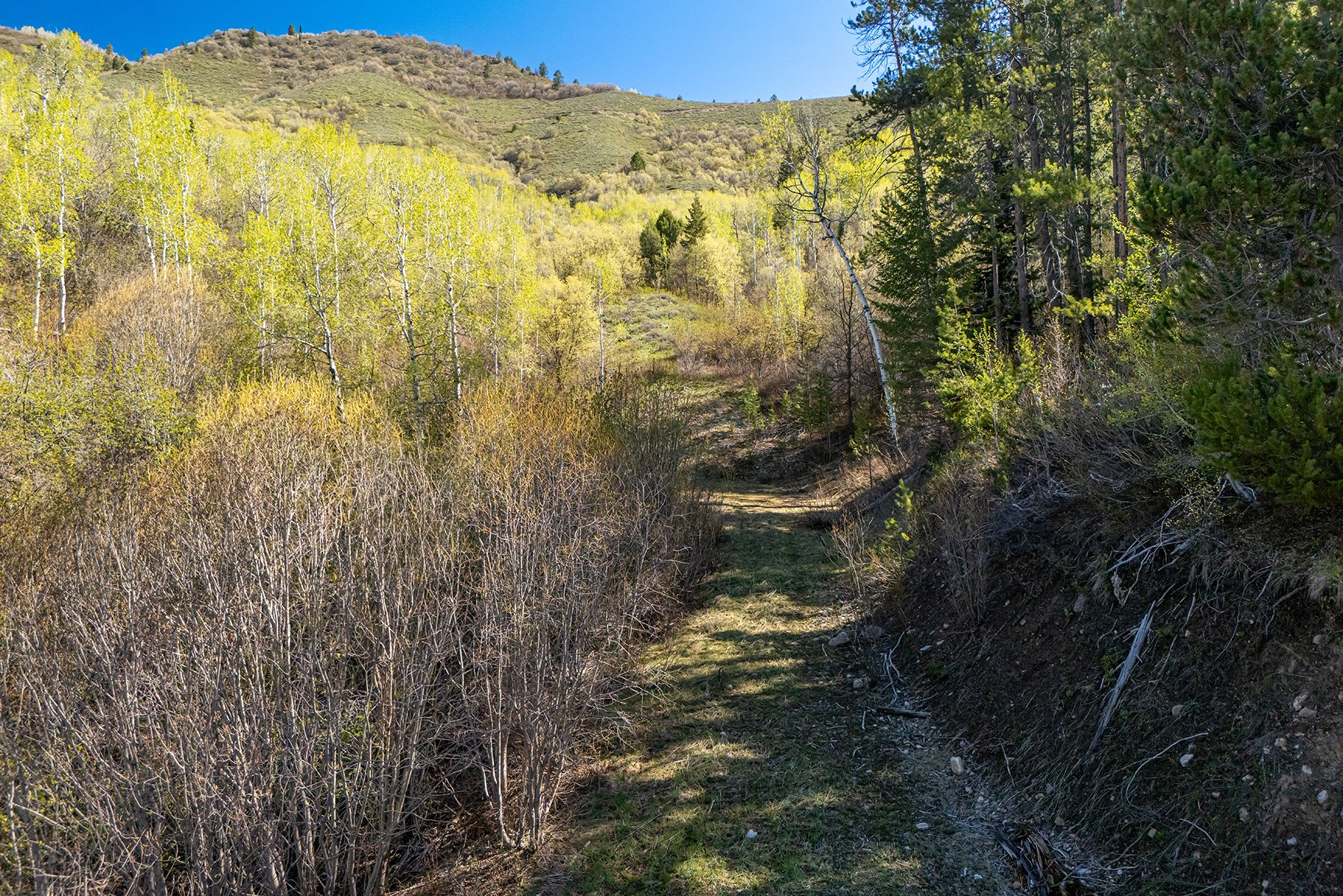  Property Overlooking the Palisades Reservoir - 物件實景