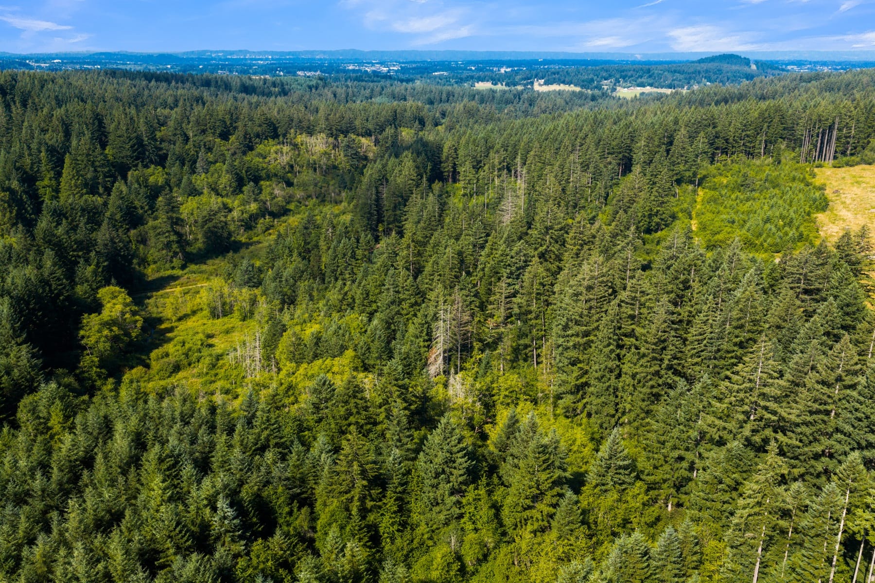  3832 NE CAVITT RD Camas, WA 98607 - 物件實景