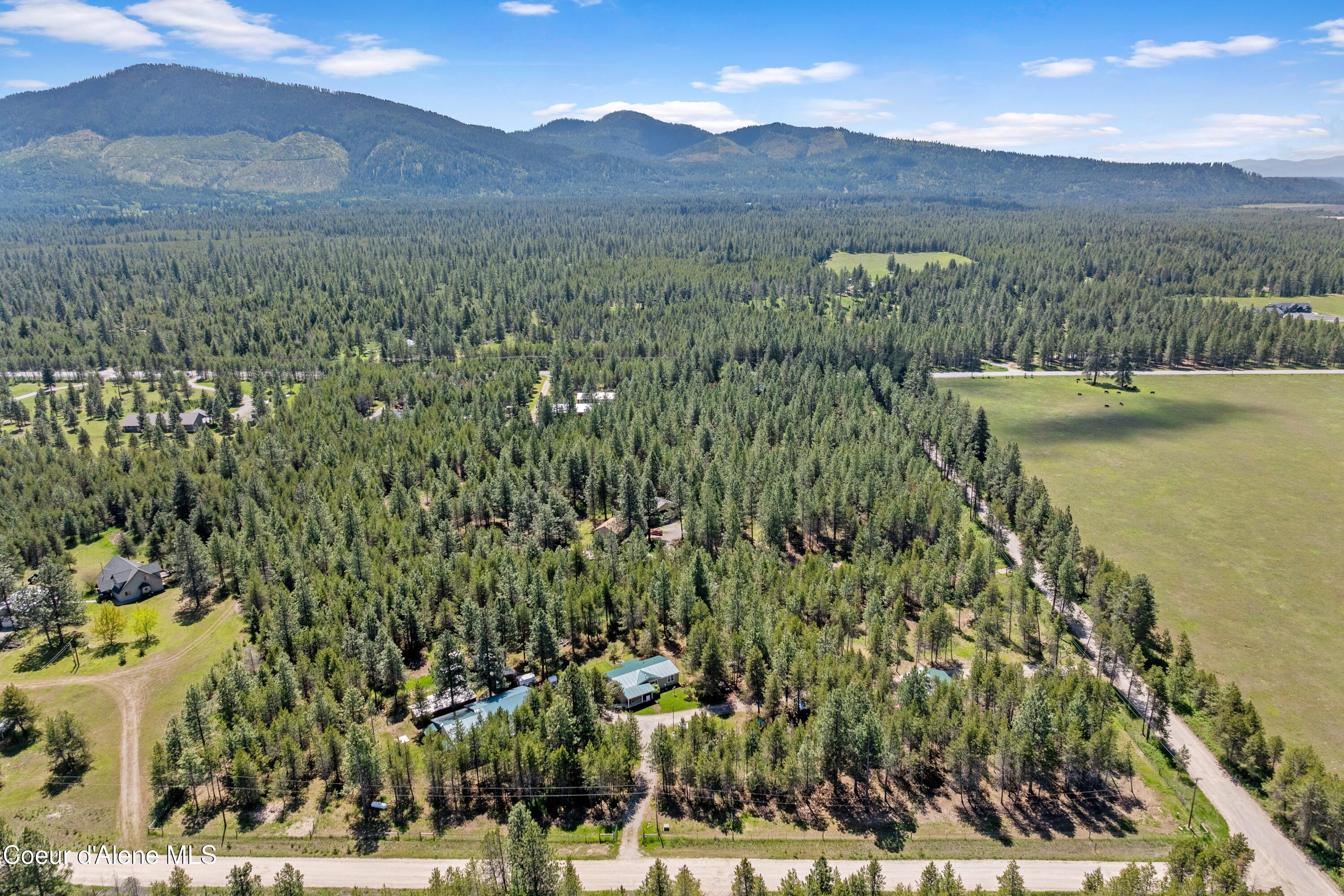 Athol, Idaho, 83801, United States, 5 Bedrooms Bedrooms, ,3 BathroomsBathrooms,Residential,For Sale,1841760