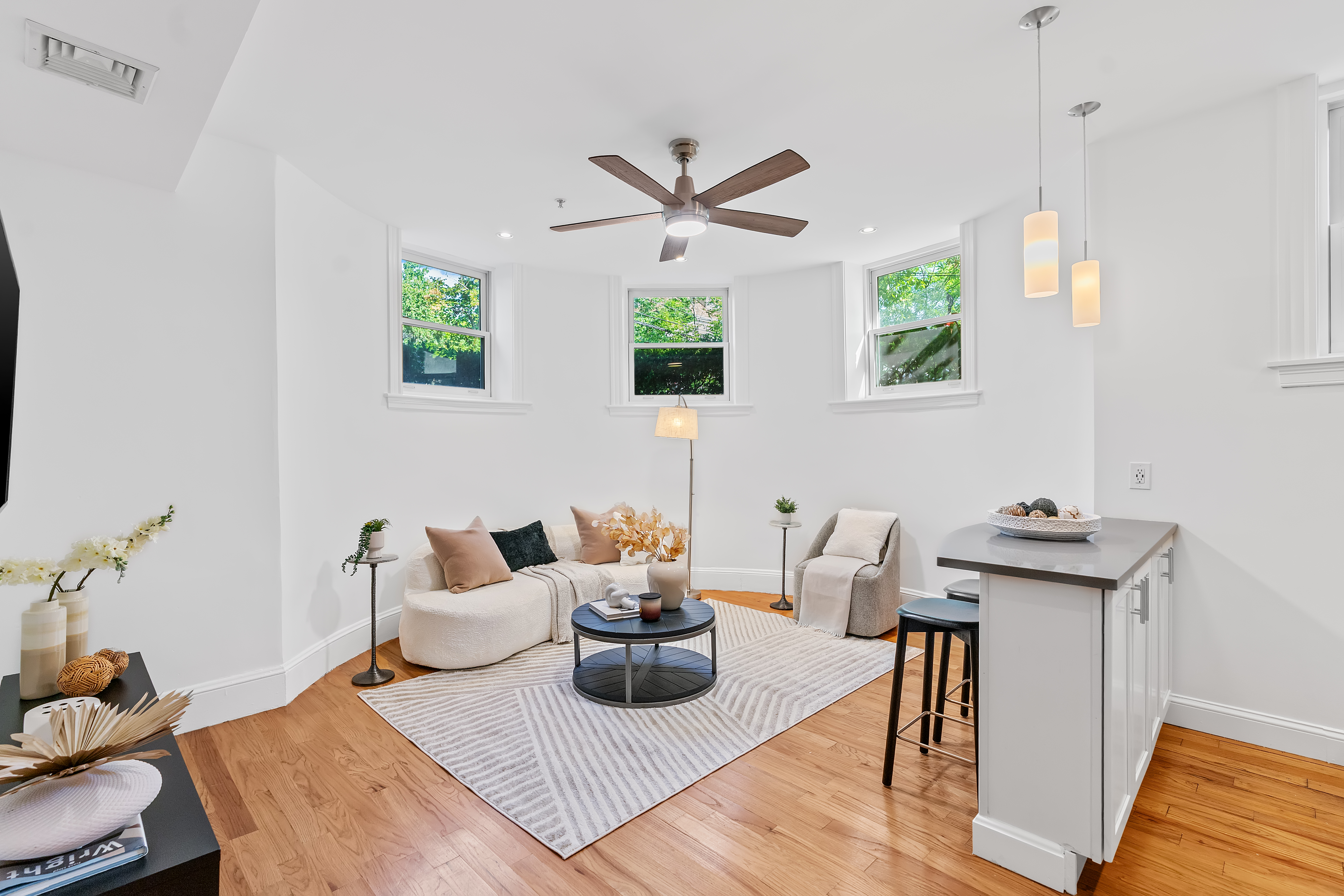  97 Fuller Street  - Unit 4, Brookline, MA, 02446 - 物件實景
