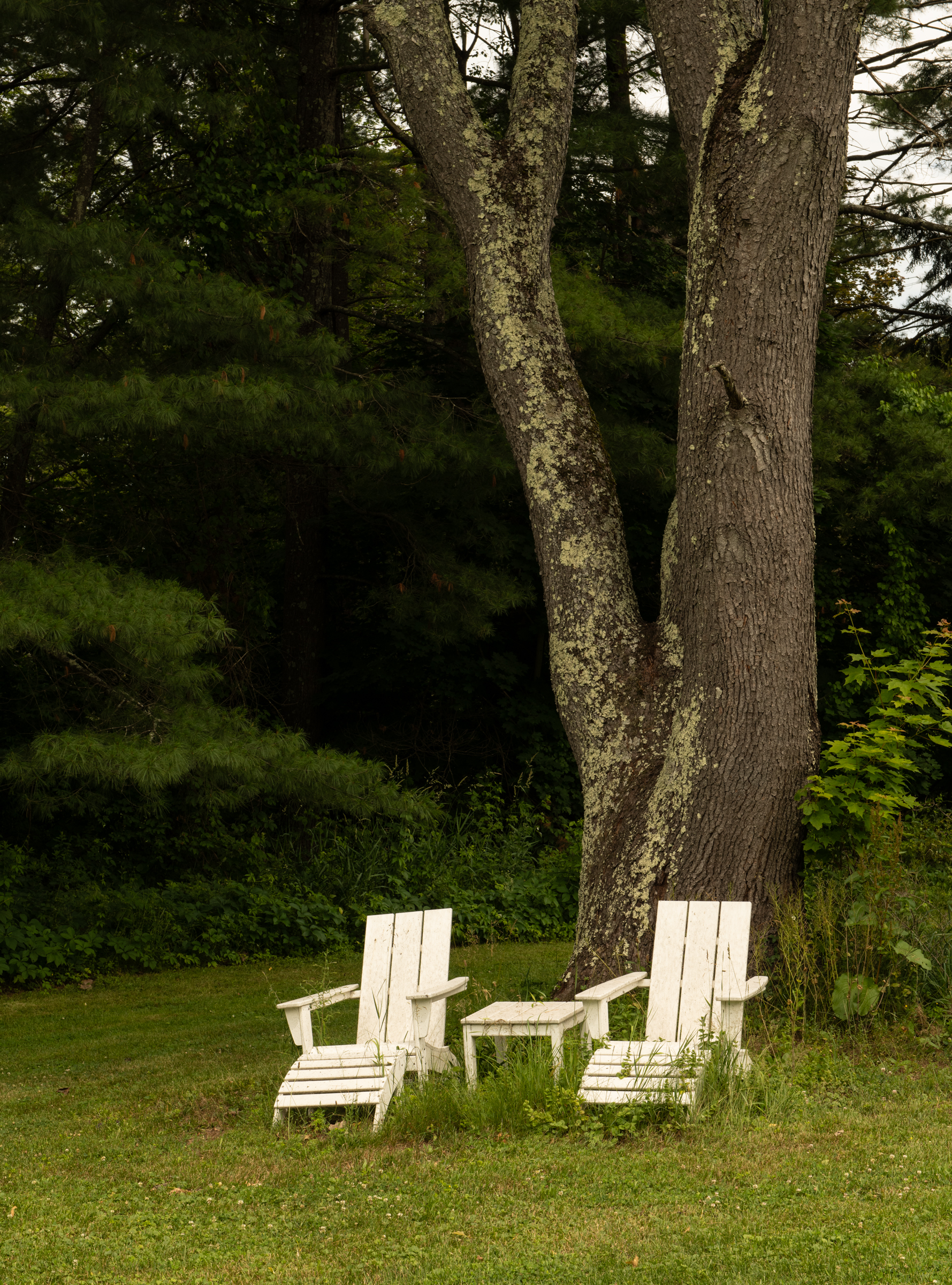  18 Old Queechy Road, Canaan, NY 12029 - 物件實景