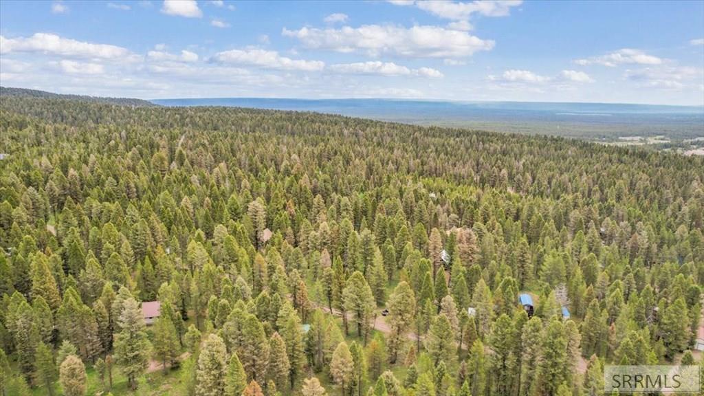 ISLAND PARK, Idaho, 83429, United States, 3 Bedrooms Bedrooms, ,2 BathroomsBathrooms,Residential,For Sale,2049198