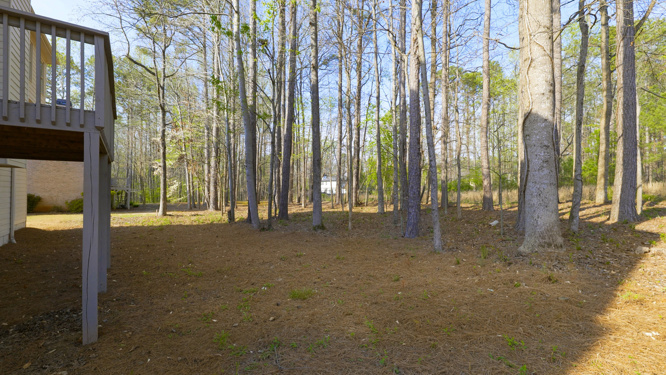  Beautifully Updated Home in an Amazing Alpharetta Location - 物件實景