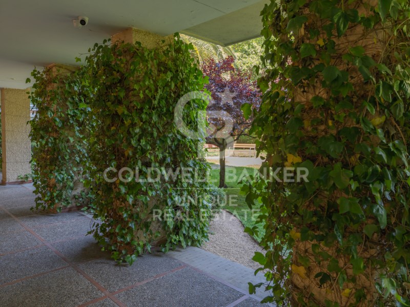 Madrid, Comunidad de Madrid, ES, 5 Bedrooms Bedrooms, ,3 BathroomsBathrooms,Residential,For Sale,1847498