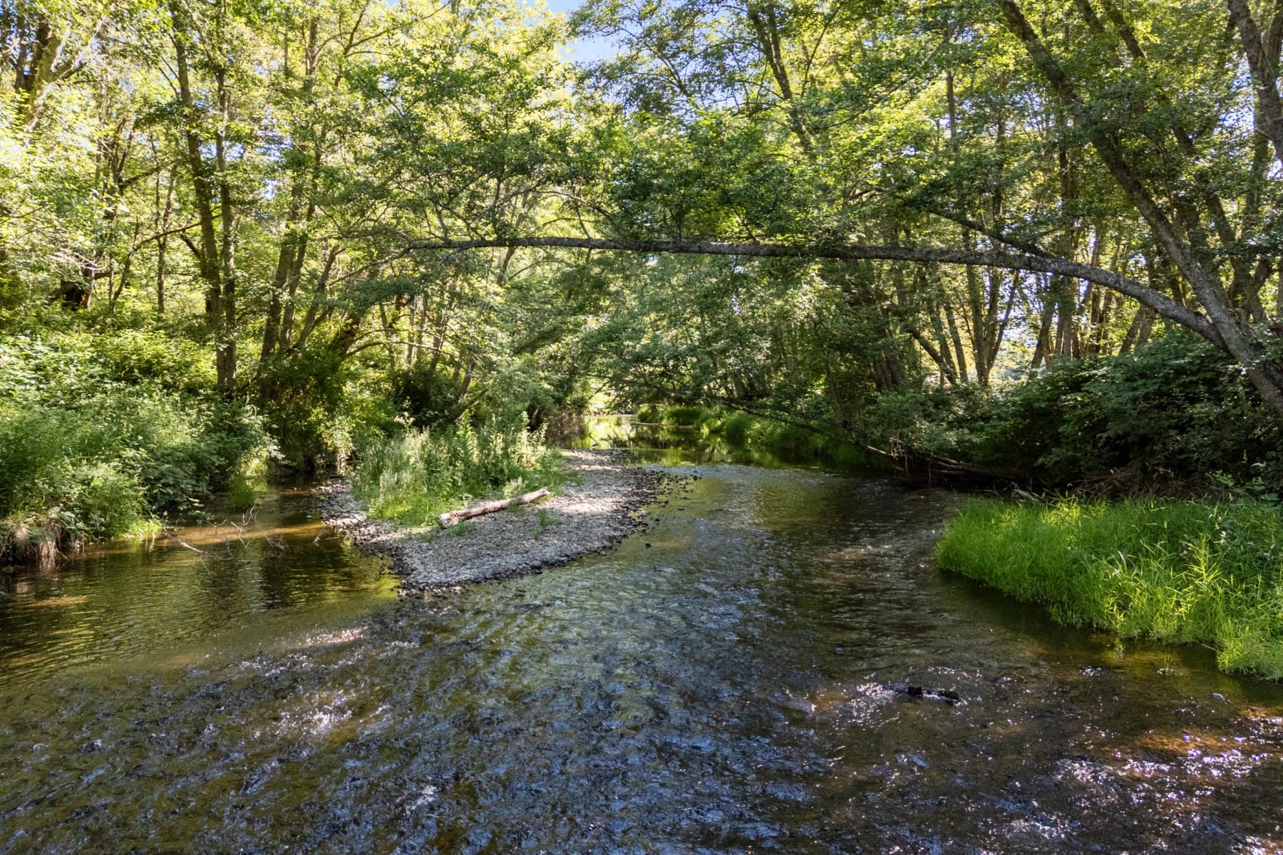  706 Creek Road Azalea, OR 97410 - 物件實景
