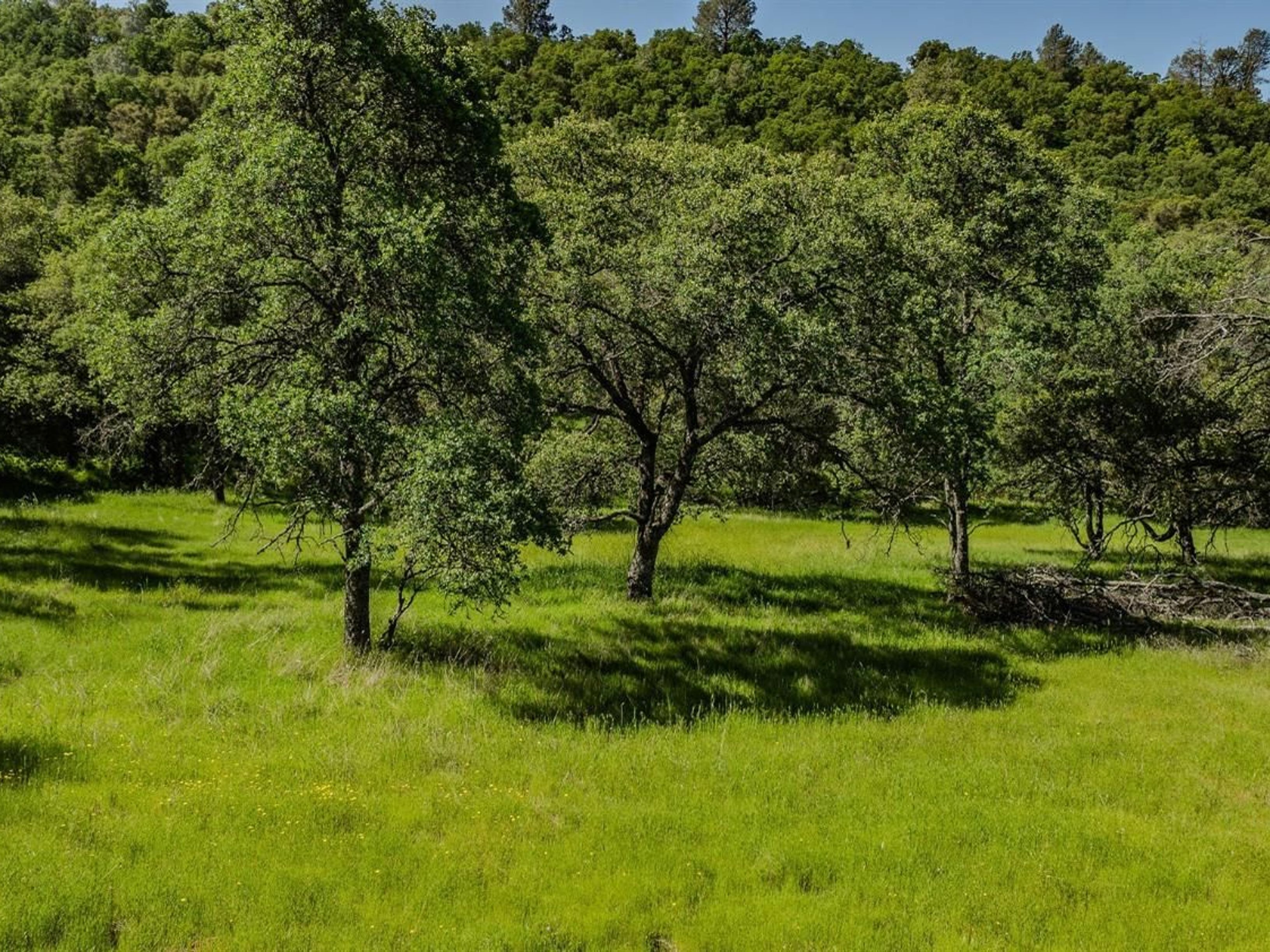  10865 Sunset Drive, Sutter Creek, CA 95685 - 物件實景