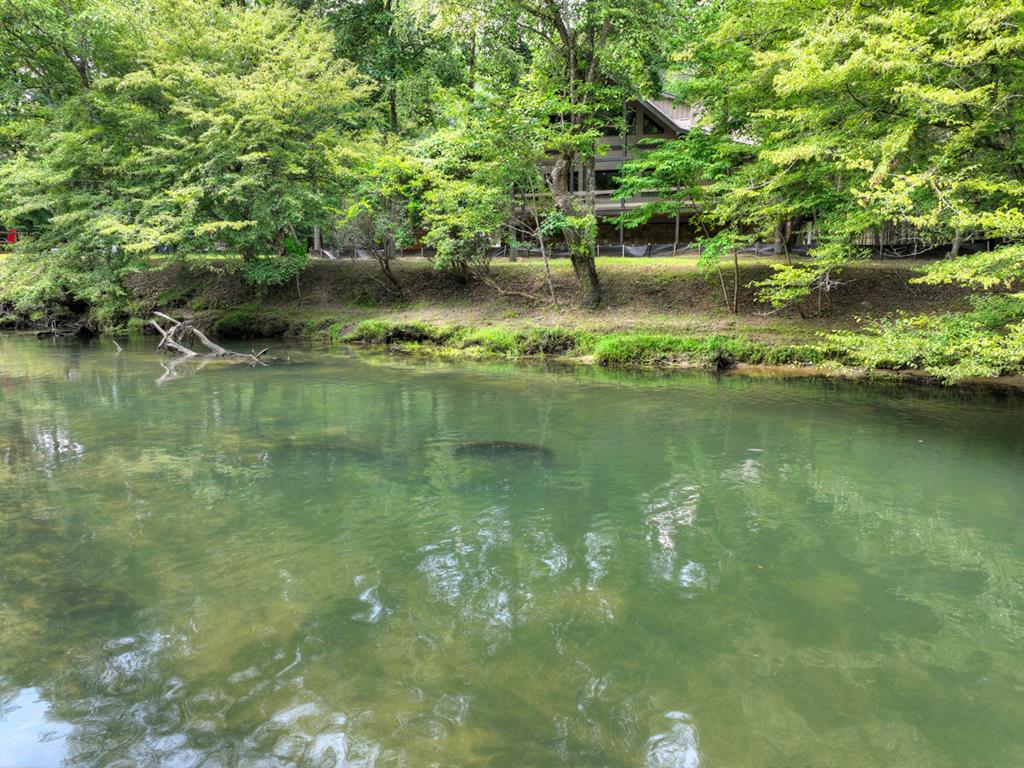 Mineral Bluff, Georgia, 30559, United States, 4 Bedrooms Bedrooms, ,5 BathroomsBathrooms,Residential,For Sale,1858917