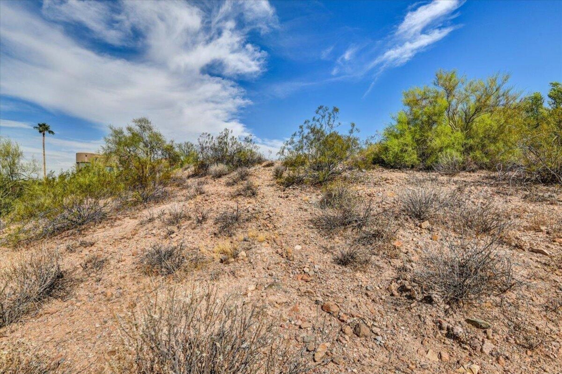  10806 N Cherry Hills Court¦Fountain Hills, AZ - 物件實景