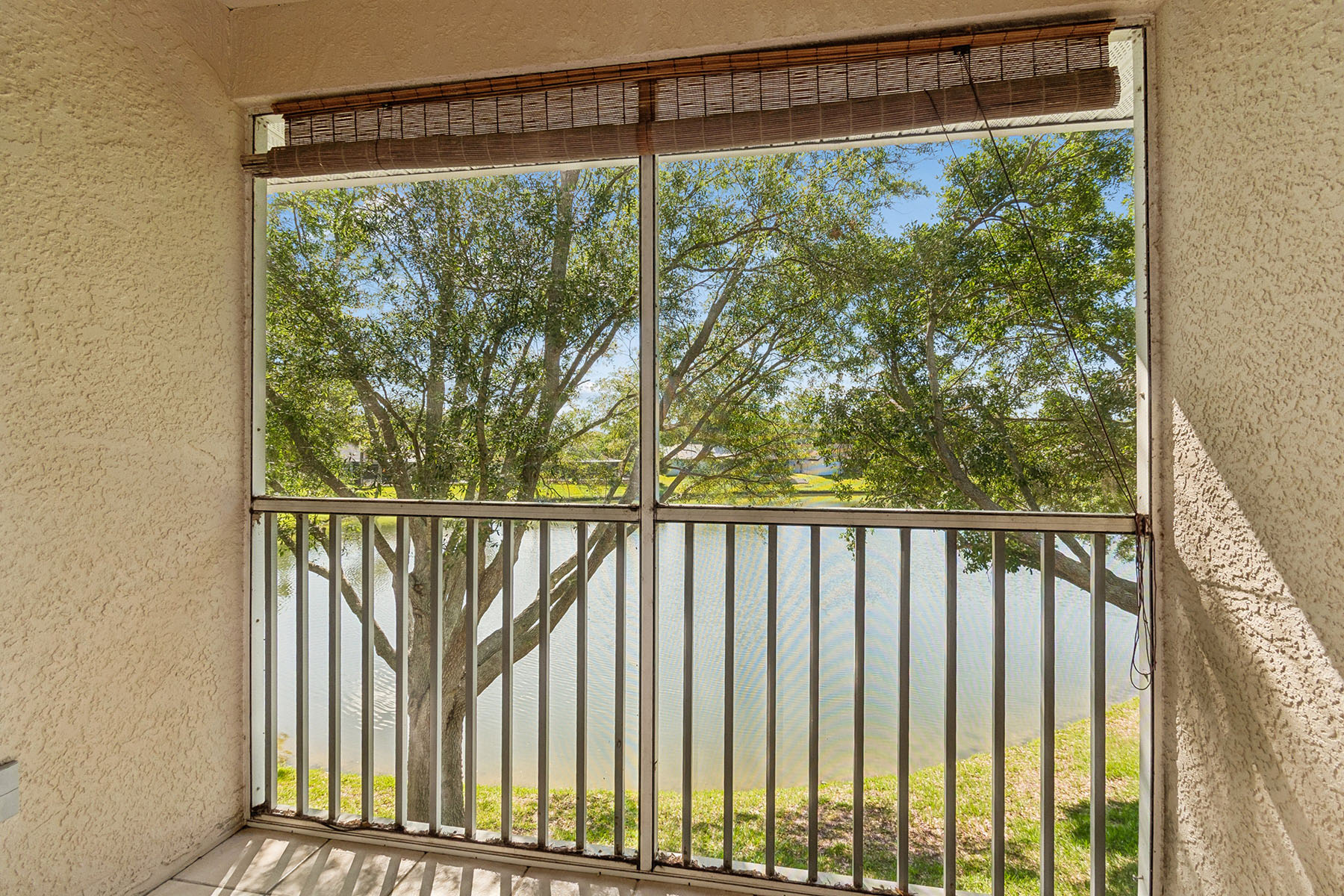  TAMPA - 物件實景