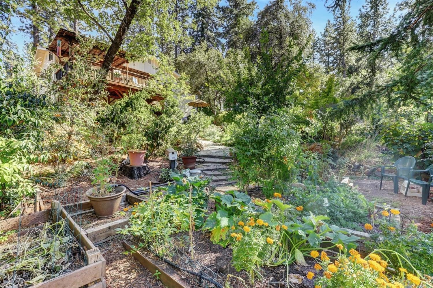 12252 Francis Drive, Grass Valley, California, 95949, United States, 3 Bedrooms Bedrooms, ,2 BathroomsBathrooms,Residential,For Sale,12252 Francis Drive,1631801