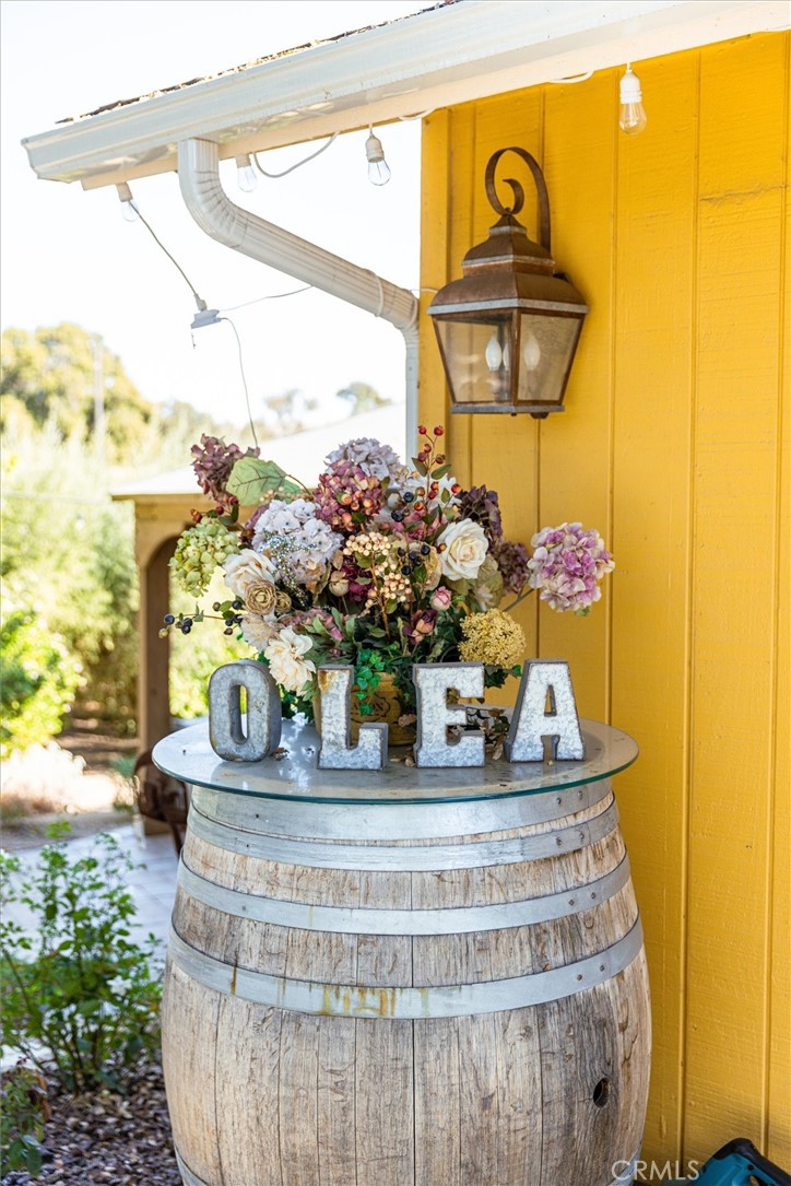 Templeton, California, 93465, United States, 3 Bedrooms Bedrooms, ,2 BathroomsBathrooms,Residential,For Sale,1981498