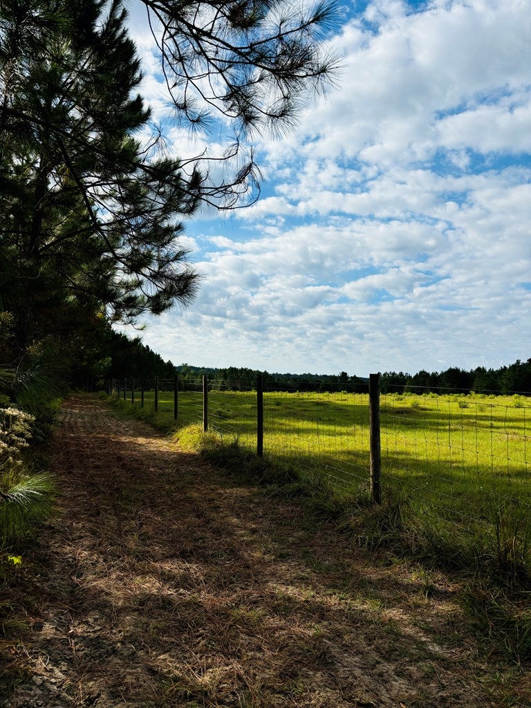 Abbeville, Georgia, 31001, United States, ,Land,For Sale,1975130