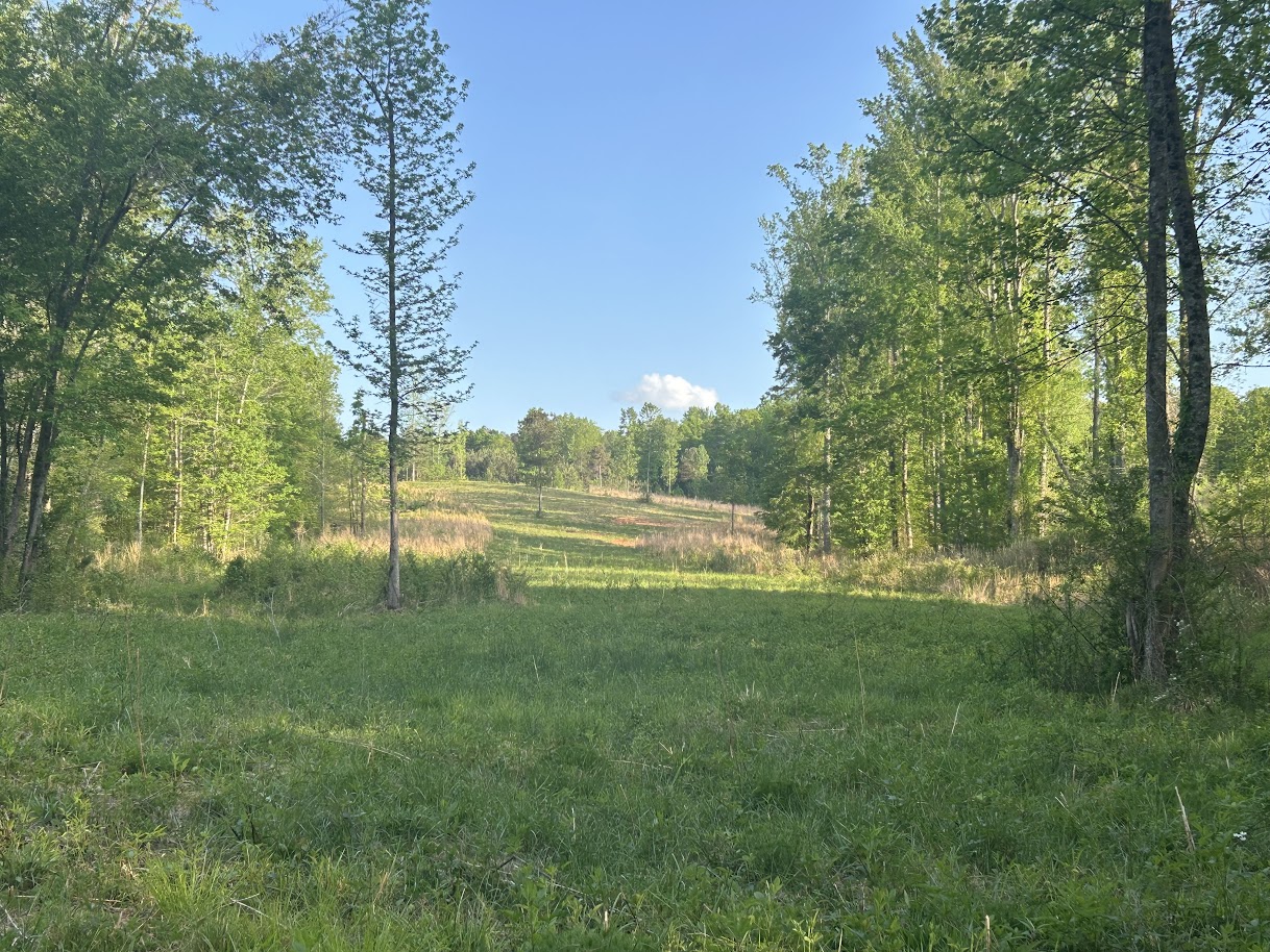 Roopville, Georgia, 30170, United States, ,Residential,For Sale,1780793