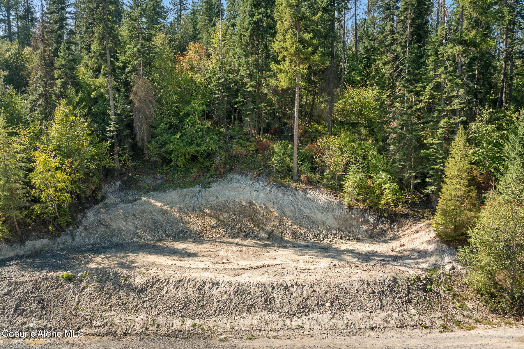 Coeur d'Alene, Idaho, 83814, United States, ,Land,For Sale,1977731