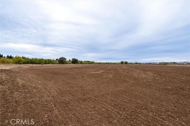 Chico, California, 95973, United States, ,Land,For Sale,1981972