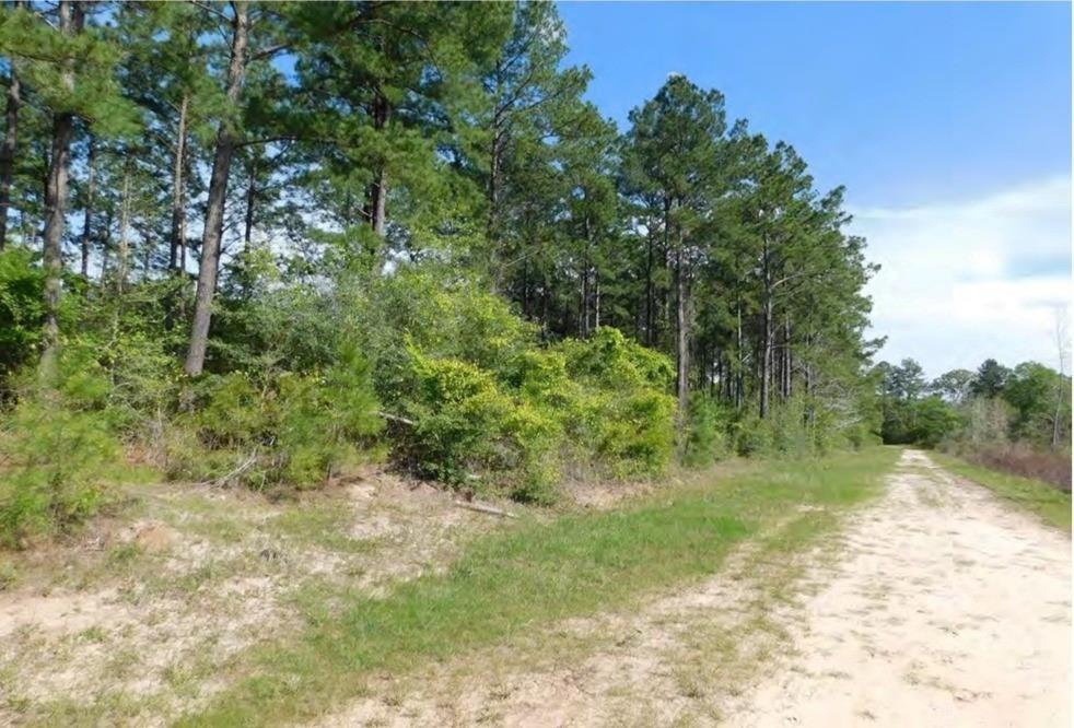 Huntington, Texas, 75949, United States, ,Land,For Sale,1785152