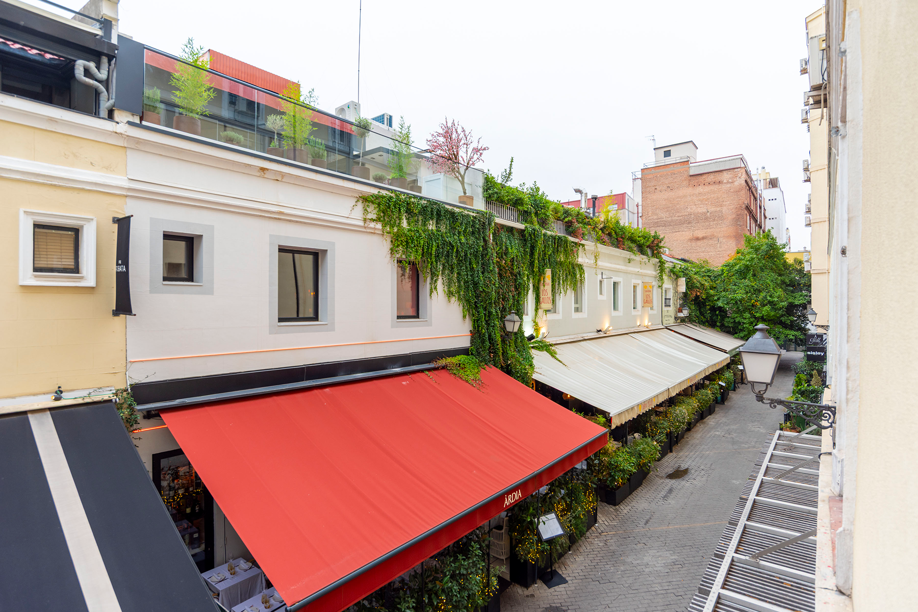  Classic apartment in Barrio Salamanca, Madrid - 物件實景