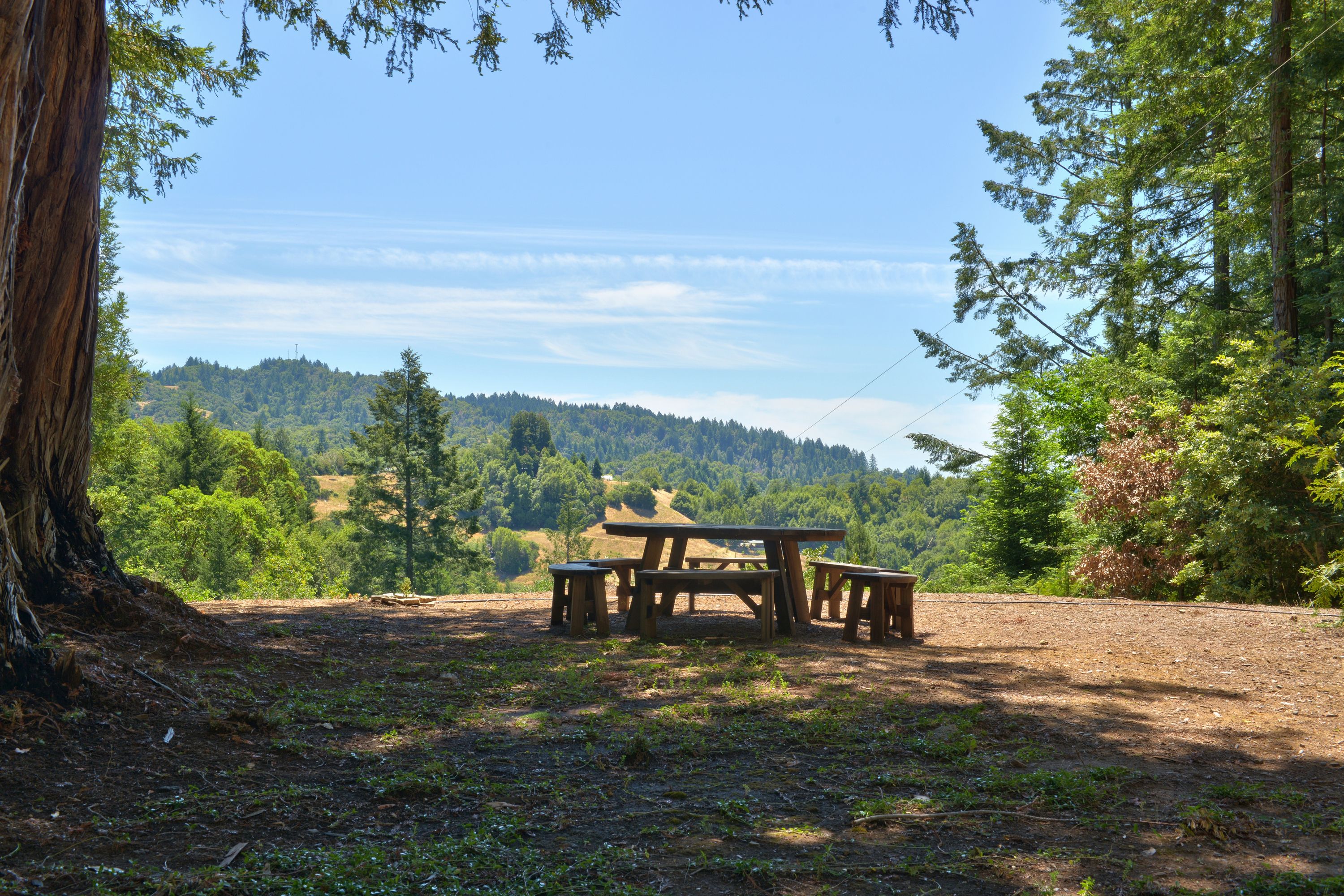  18900 Armstrong Woods Road, Guerneville, CA 95446 - 物件實景