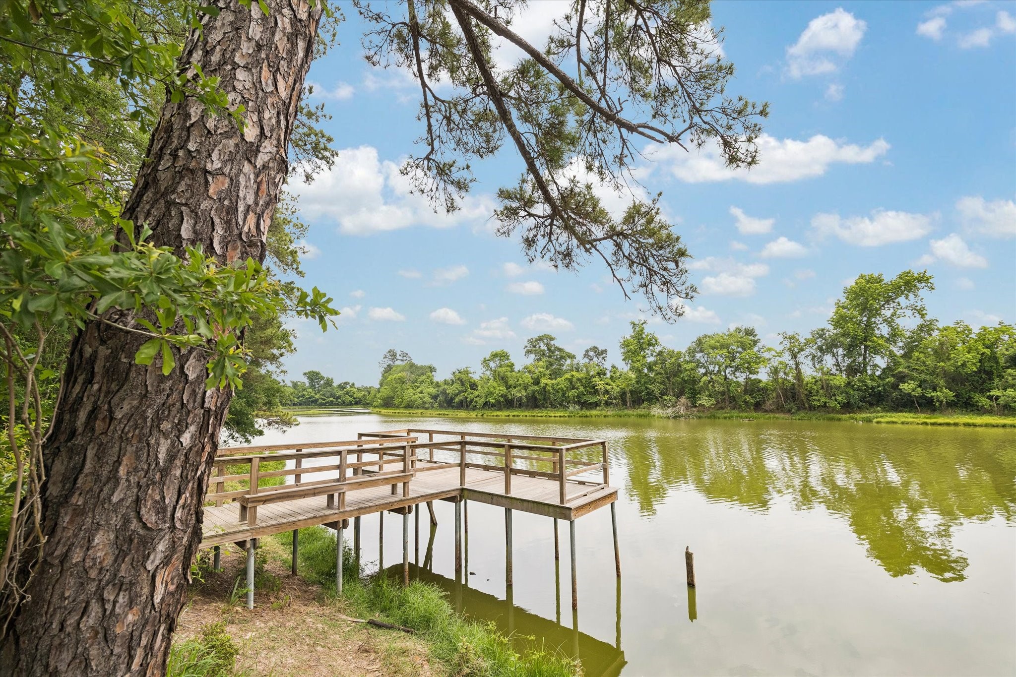  14550 Vintage Preserve Parkway - 物件實景