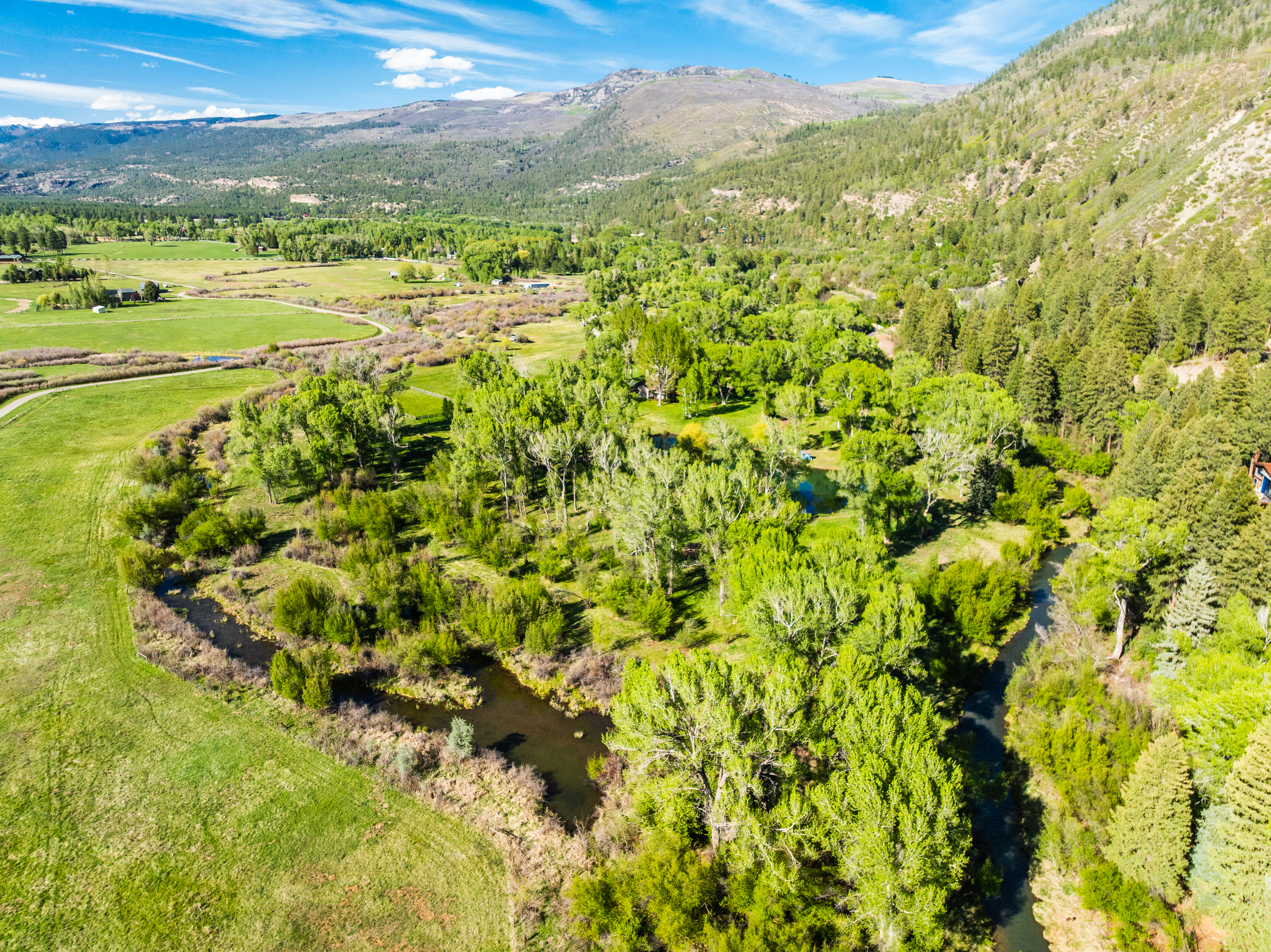  9907 County Road 250, Durango, CO 81301 - 物件實景