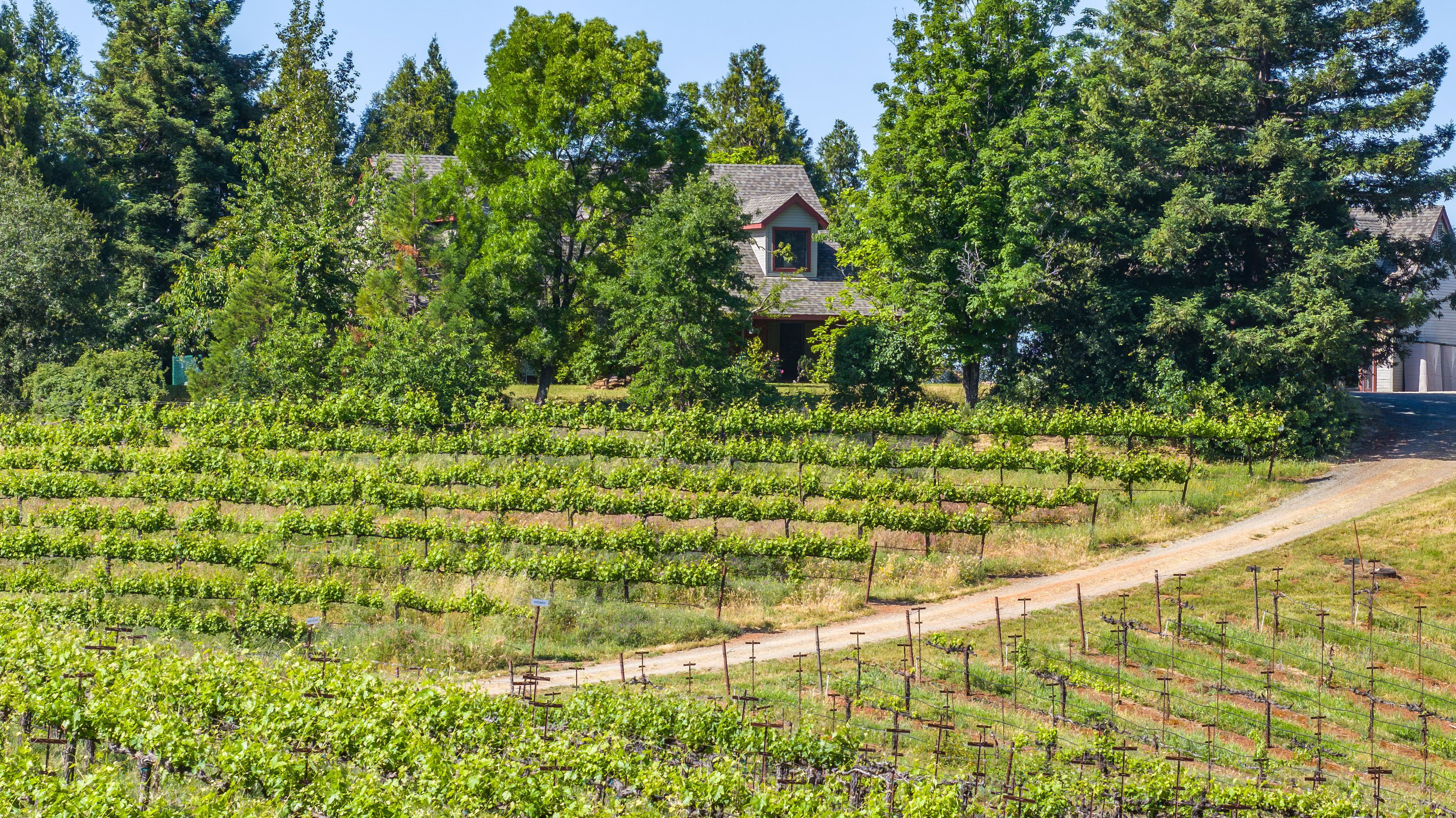  22 Acres • Panoramic Views • Unmatched Privacy • Idyllic Ranch Estate - 物件實景