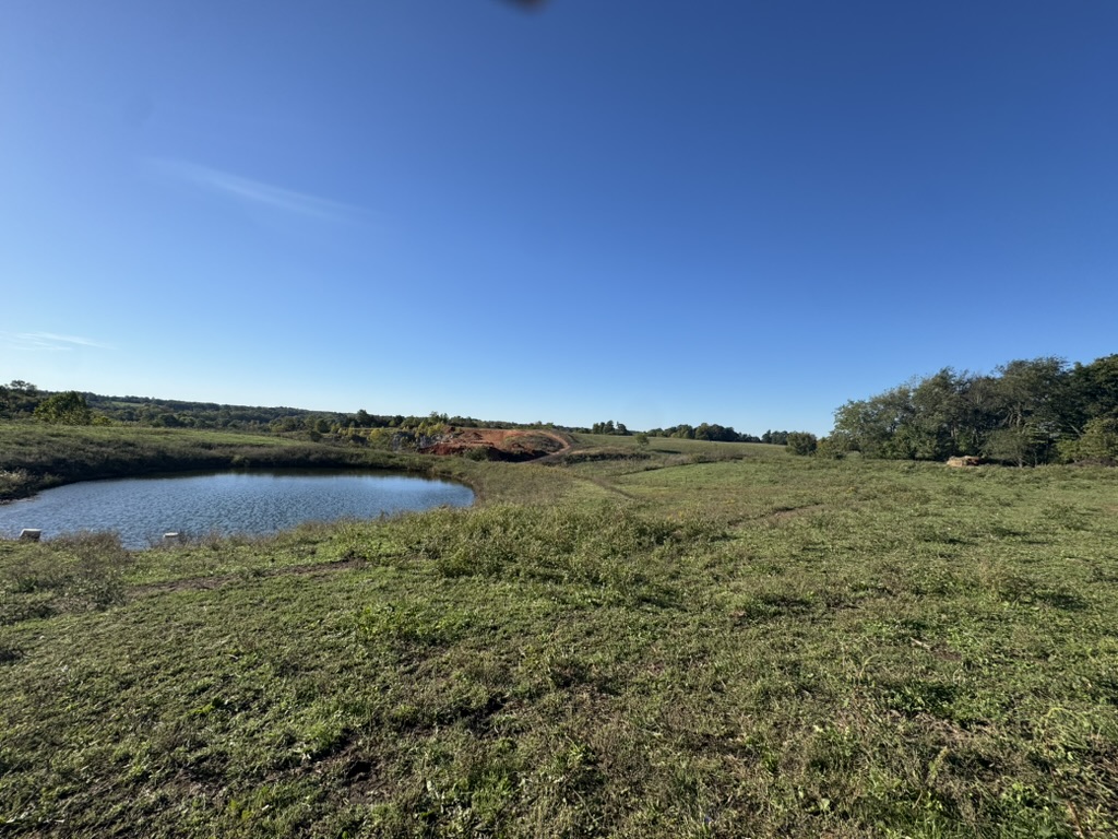 Pierce City, Missouri, 65723, United States, 2 Bedrooms Bedrooms, ,2 BathroomsBathrooms,Residential,For Sale,1987385