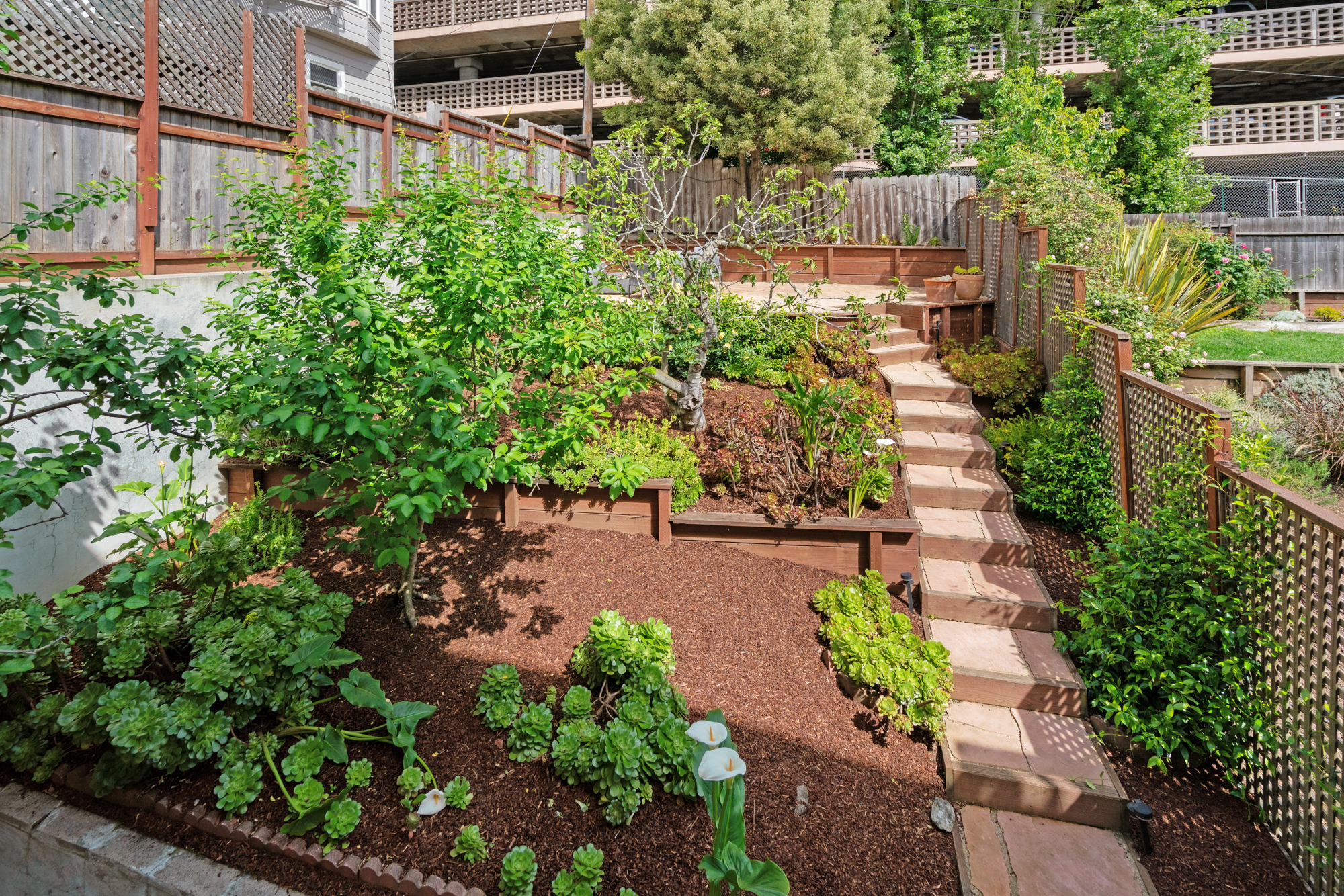  Incredible Unit on Nopa’s Best Street - 物件實景