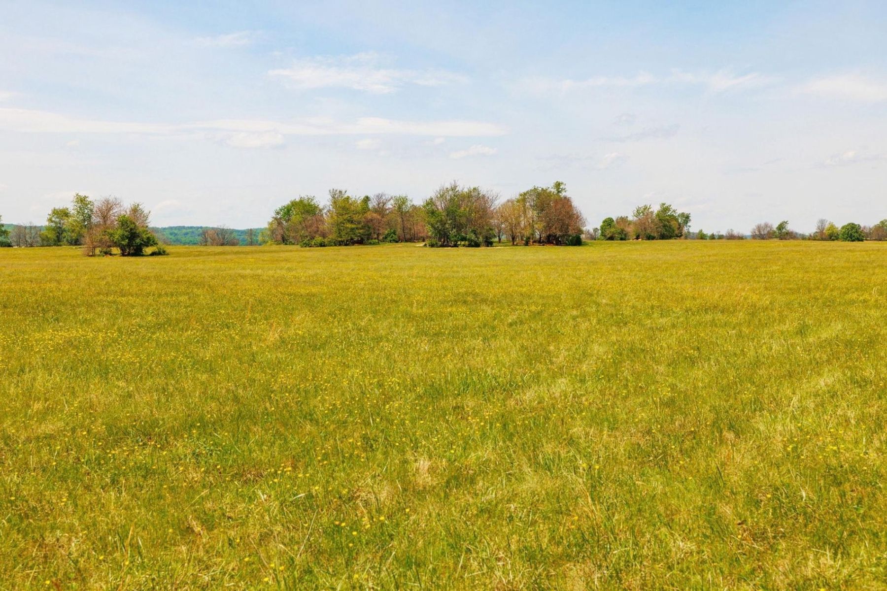  15520 James Monroe Highway, Leesburg, VA, 20176 - 物件實景