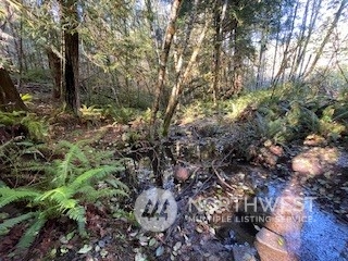 Packwood, Washington, 98937, United States, ,Residential,For Sale,1944866