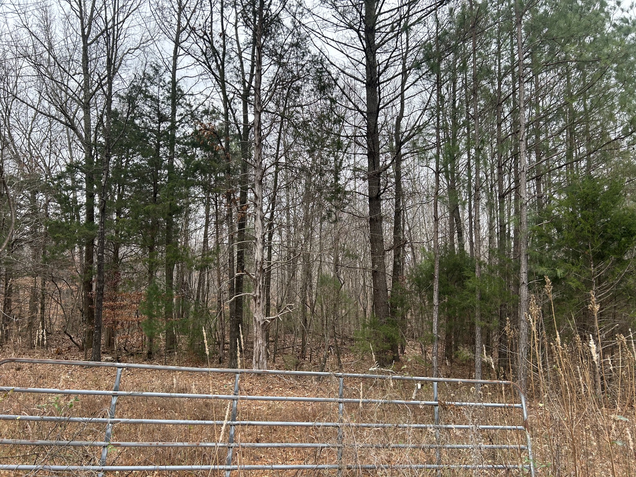 Manchester, Tennessee, 37355, United States, ,Land,For Sale,2006047