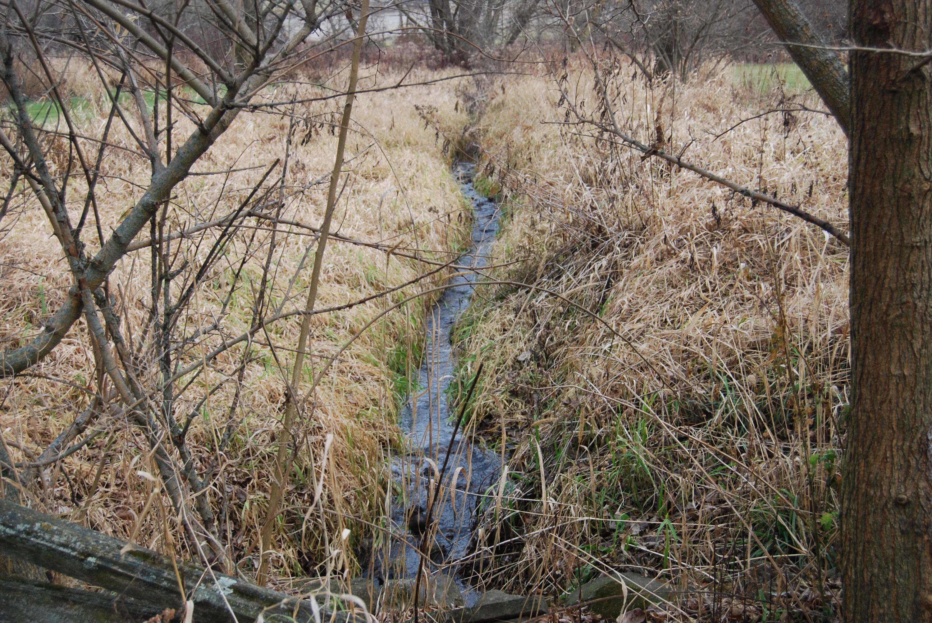 Wayne, Wisconsin, 53002, United States, 3 Bedrooms Bedrooms, ,2 BathroomsBathrooms,Residential,For Sale,2000688