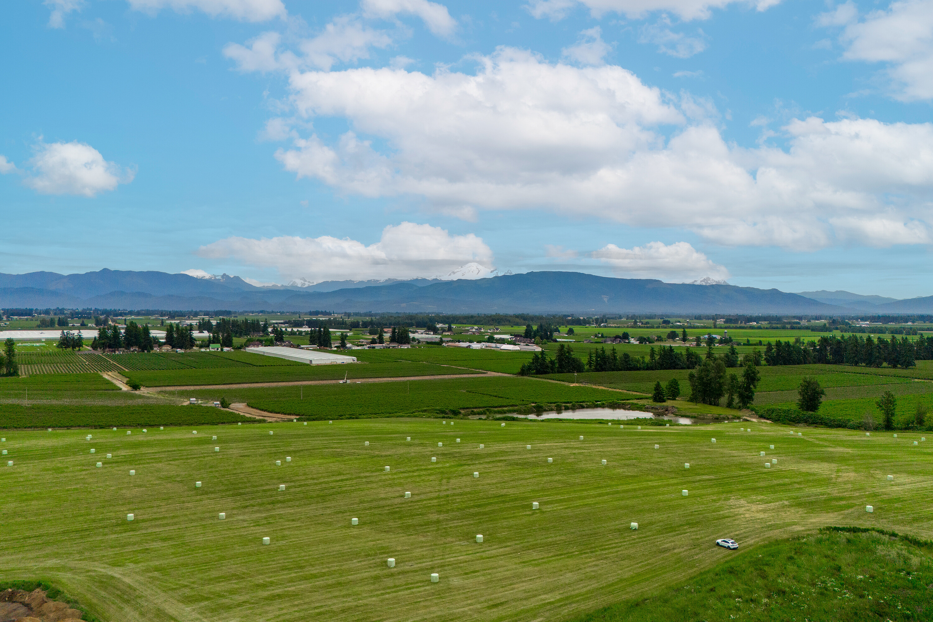  Rare Large Parcel Farmland - 物件實景