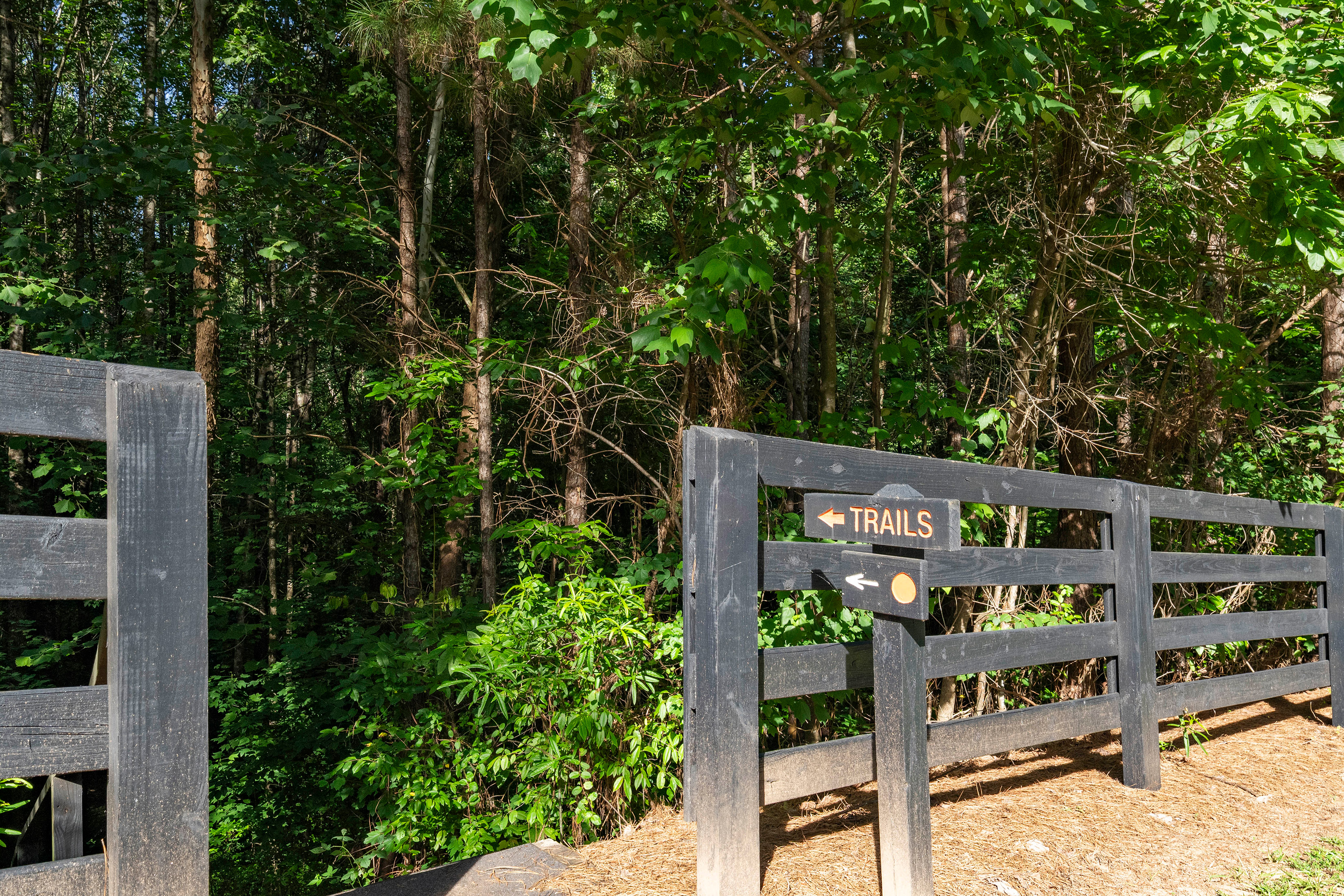  Luxury Living Surrounded by the Natural Beauty of the North Georgia Mountains - 物件實景