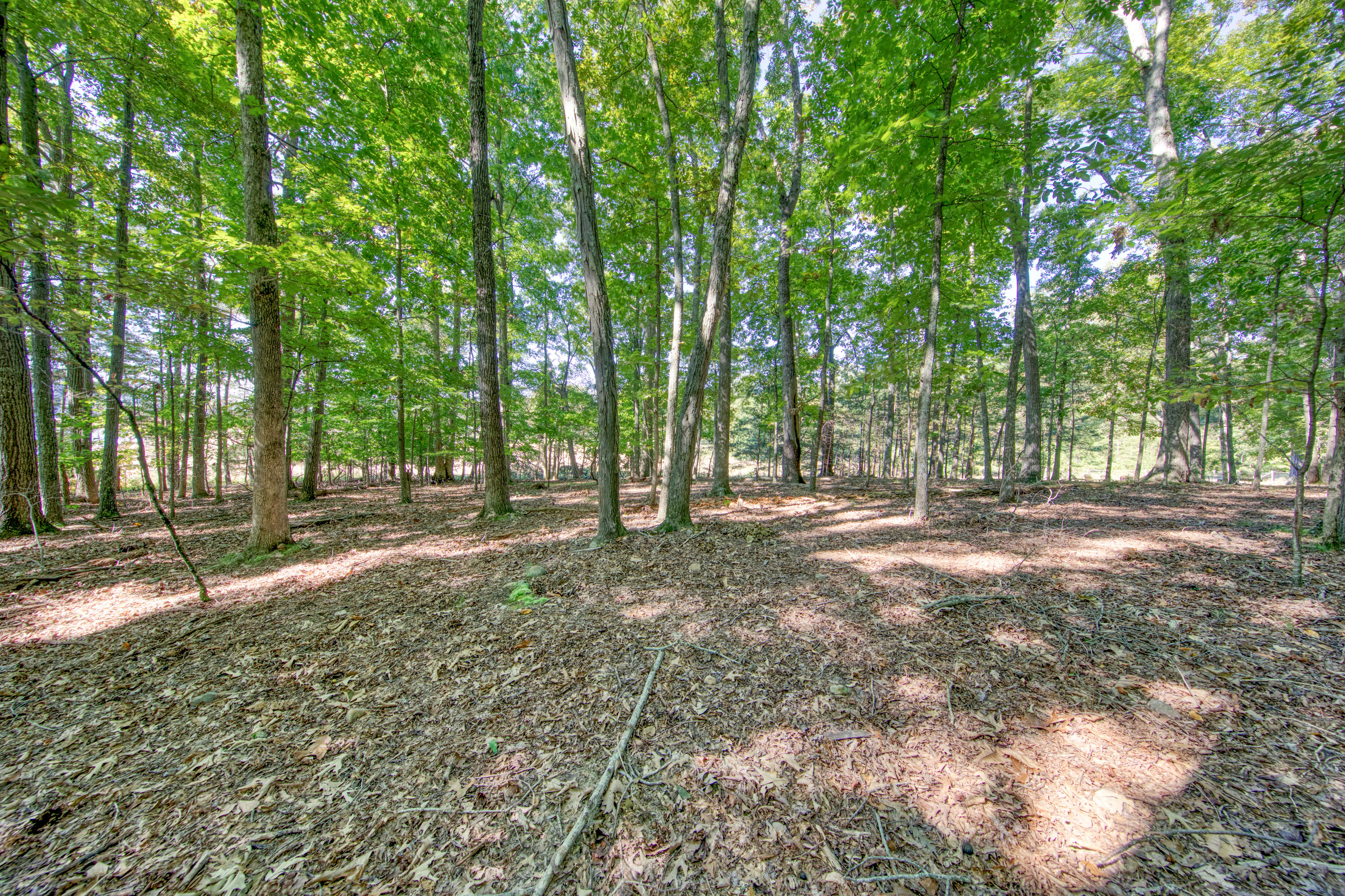  1549 Wise Way, Dandridge, TN 37725 - 物件實景