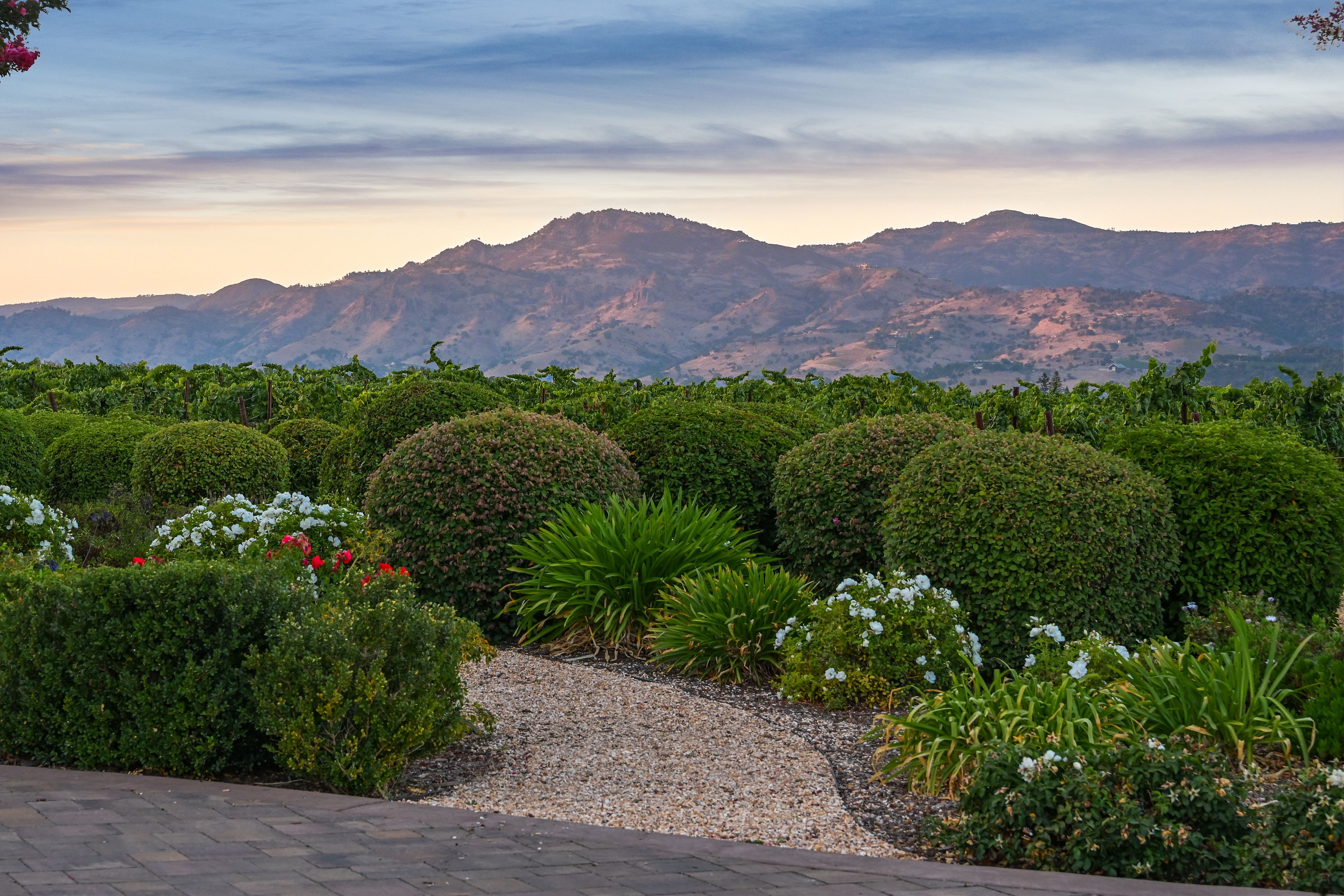  Extraordinary Napa Valley Estate - 物件實景
