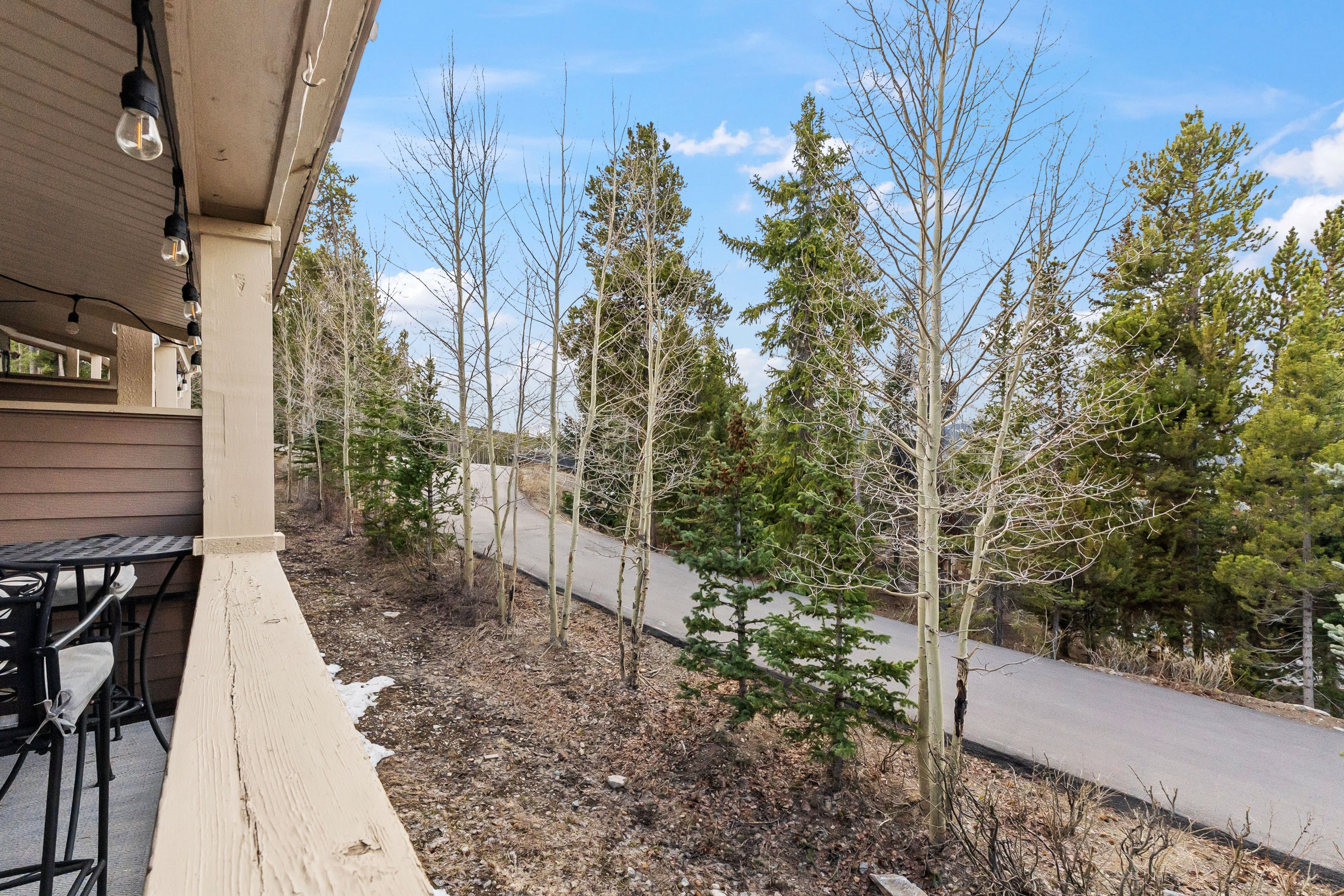  53 Atlantic Lode Road, Breckenridge, CO, 80424 - 物件實景