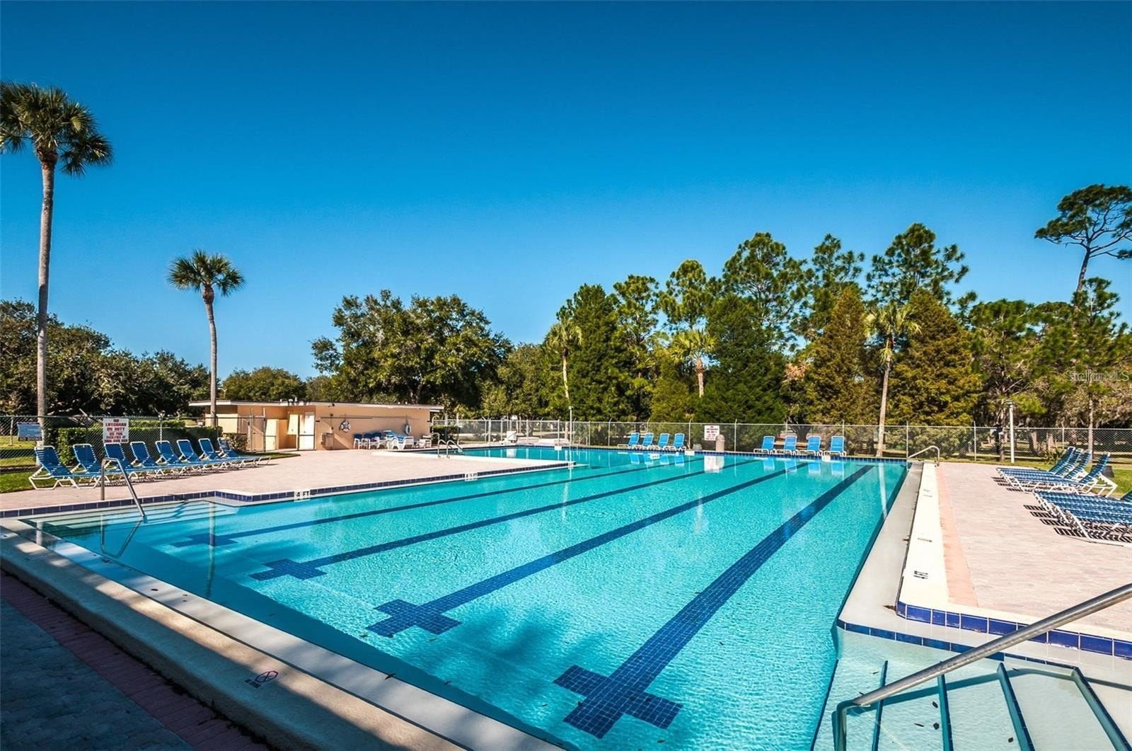 PALM HARBOR, Florida, 34683, United States, 5 Bedrooms Bedrooms, ,2 BathroomsBathrooms,Residential,For Sale,1982999