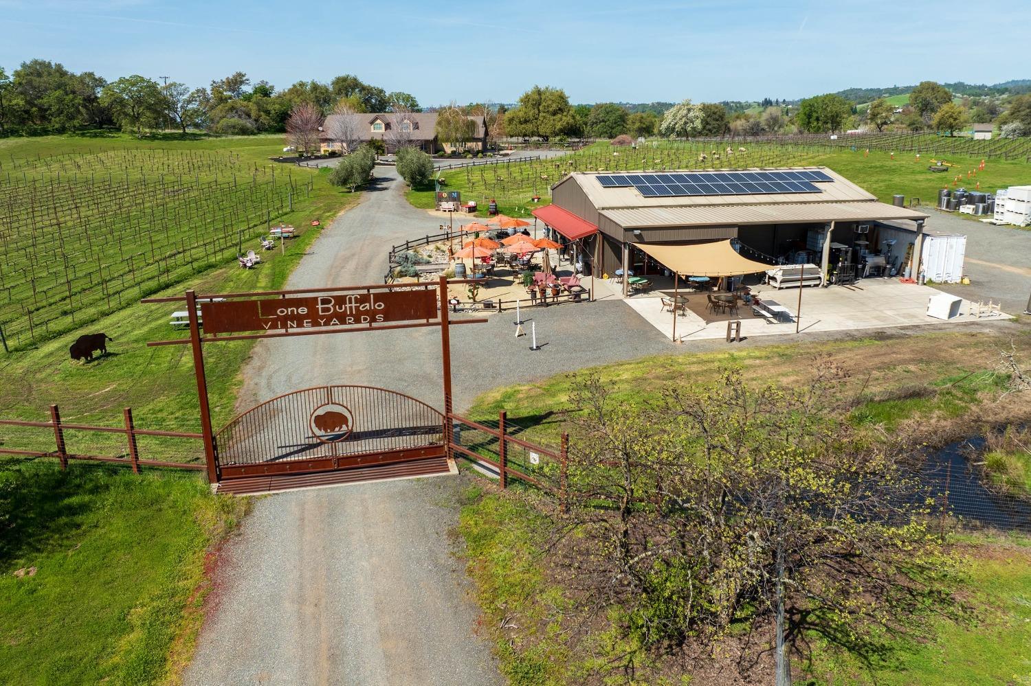 Auburn, California, 95603, United States, 3 Bedrooms Bedrooms, ,3 BathroomsBathrooms,Residential,For Sale,1976259