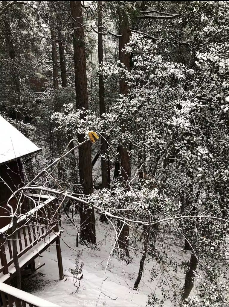 Idyllwild, California, 92549, United States, 3 Bedrooms Bedrooms, ,2 BathroomsBathrooms,Residential,For Sale,1728883