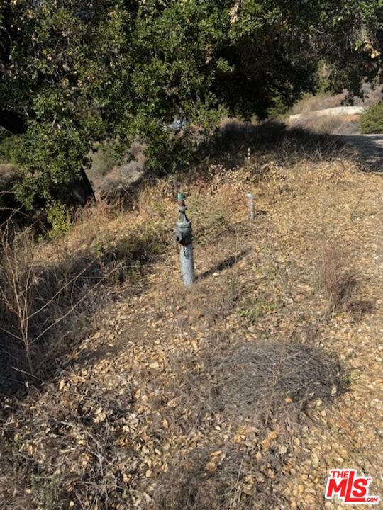 Malibu, California, 90265, United States, ,Land,For Sale,1997286