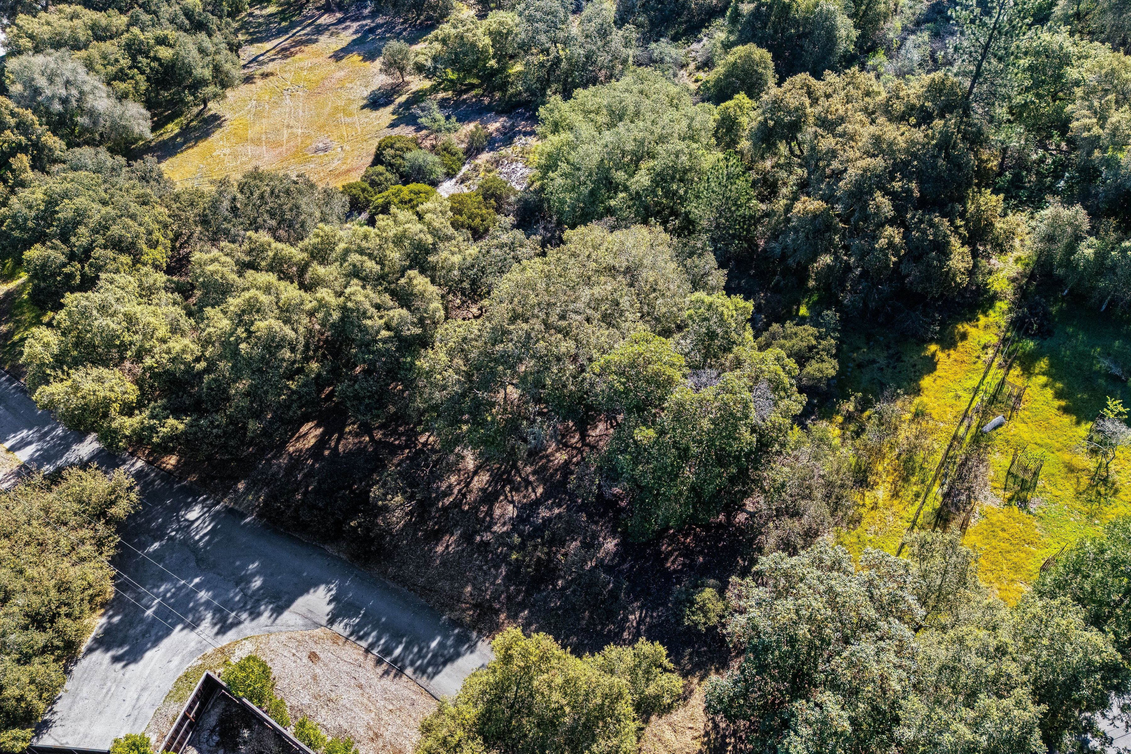  141 Whistler Court - 物件實景