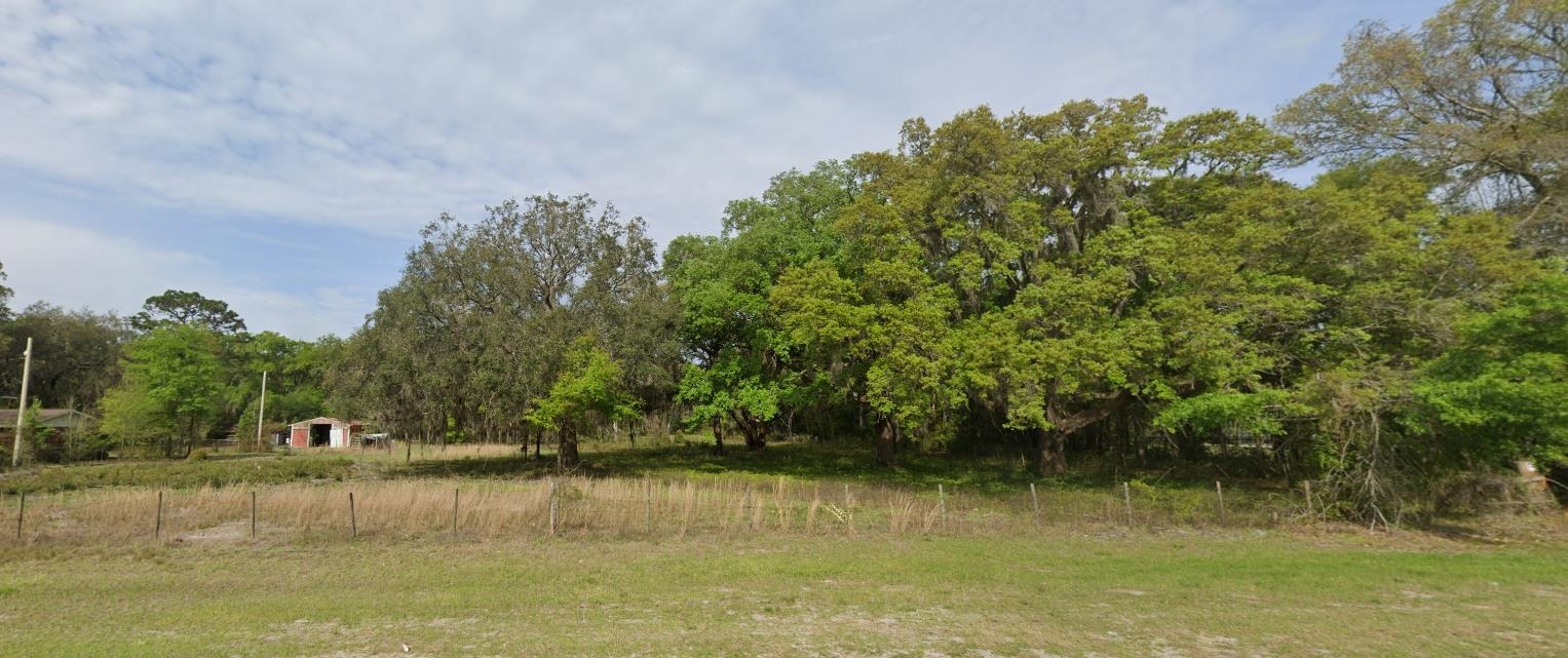 Undetermined-nassau, Florida, 32097, United States, ,Land,For Sale,1918756
