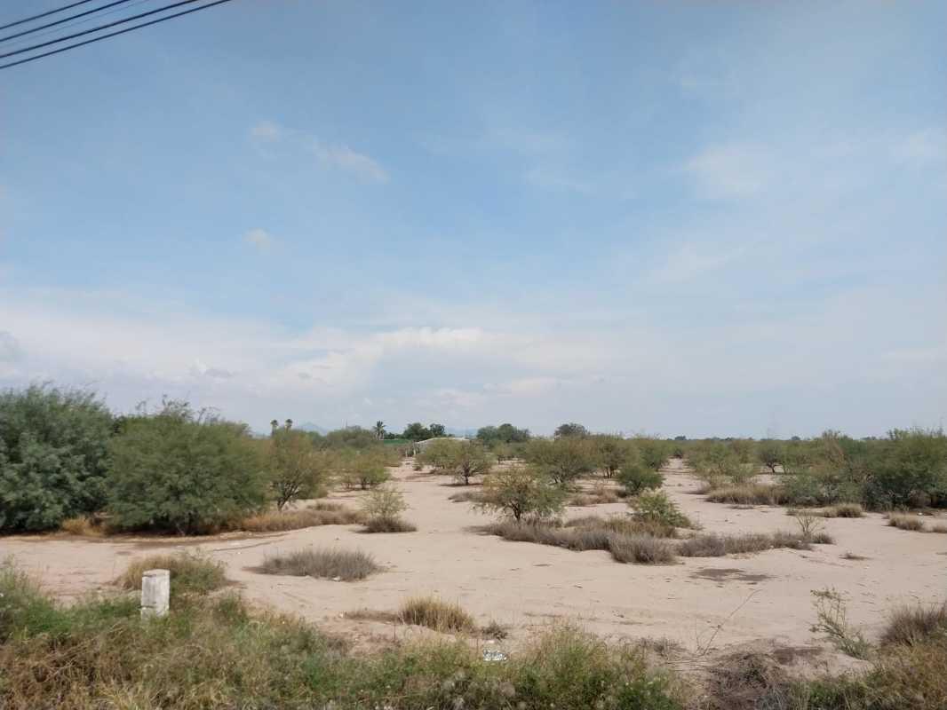 CARRETERA TORREON - SAN PEDRO, Torreón, Coahuila de Zaragoza, 27416, Mexico, 1 Bedroom Bedrooms, ,Residential,For Sale,CARRETERA TORREON - SAN PEDRO,1143920
