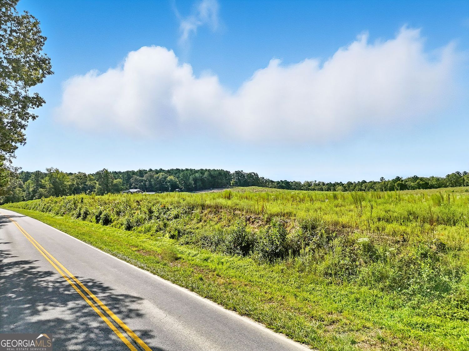 Kingston, Georgia, 30145, United States, ,Land,For Sale,1912836