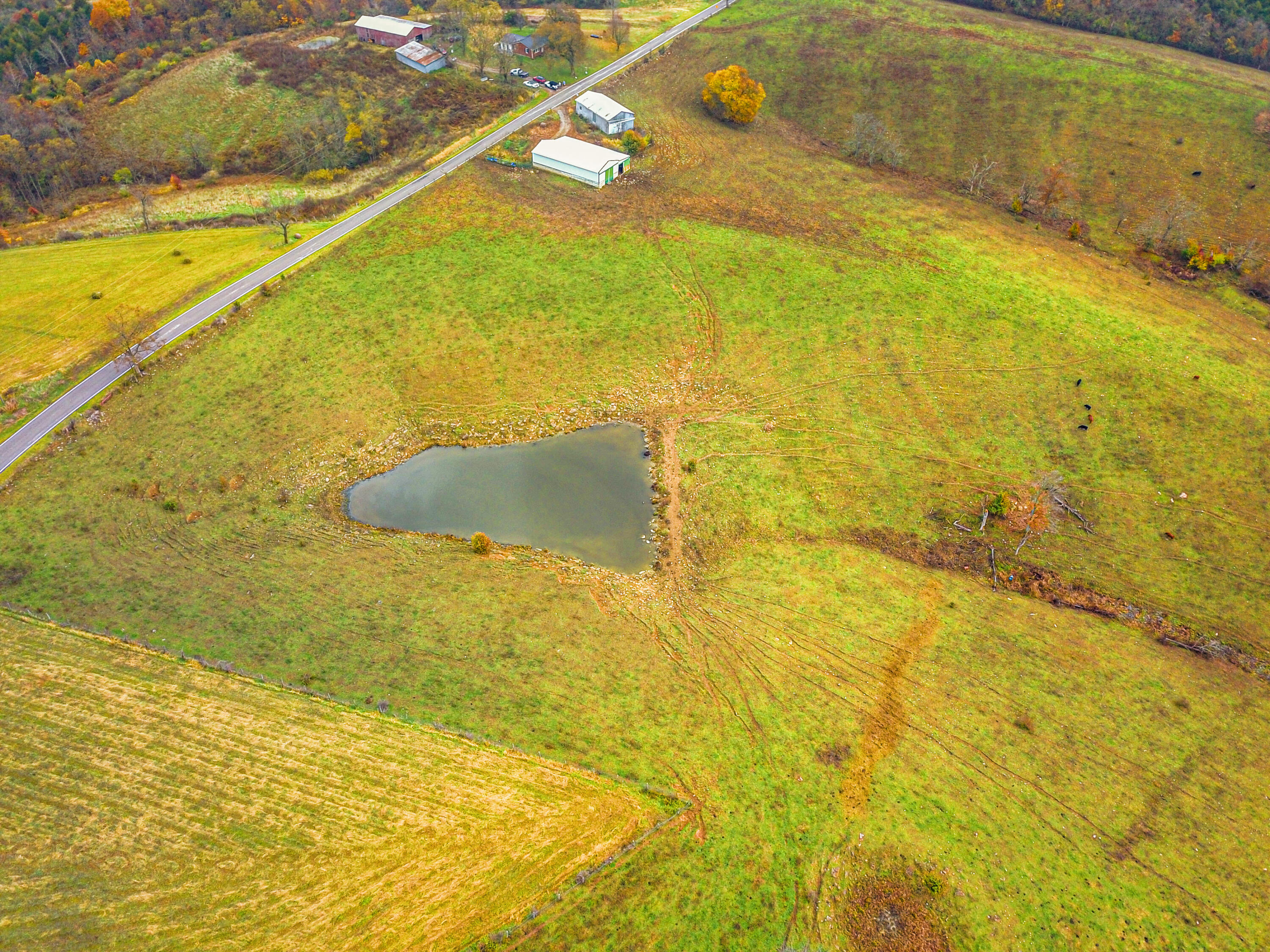 Williamstown, Kentucky, 41097, United States, ,Land,For Sale,1995668