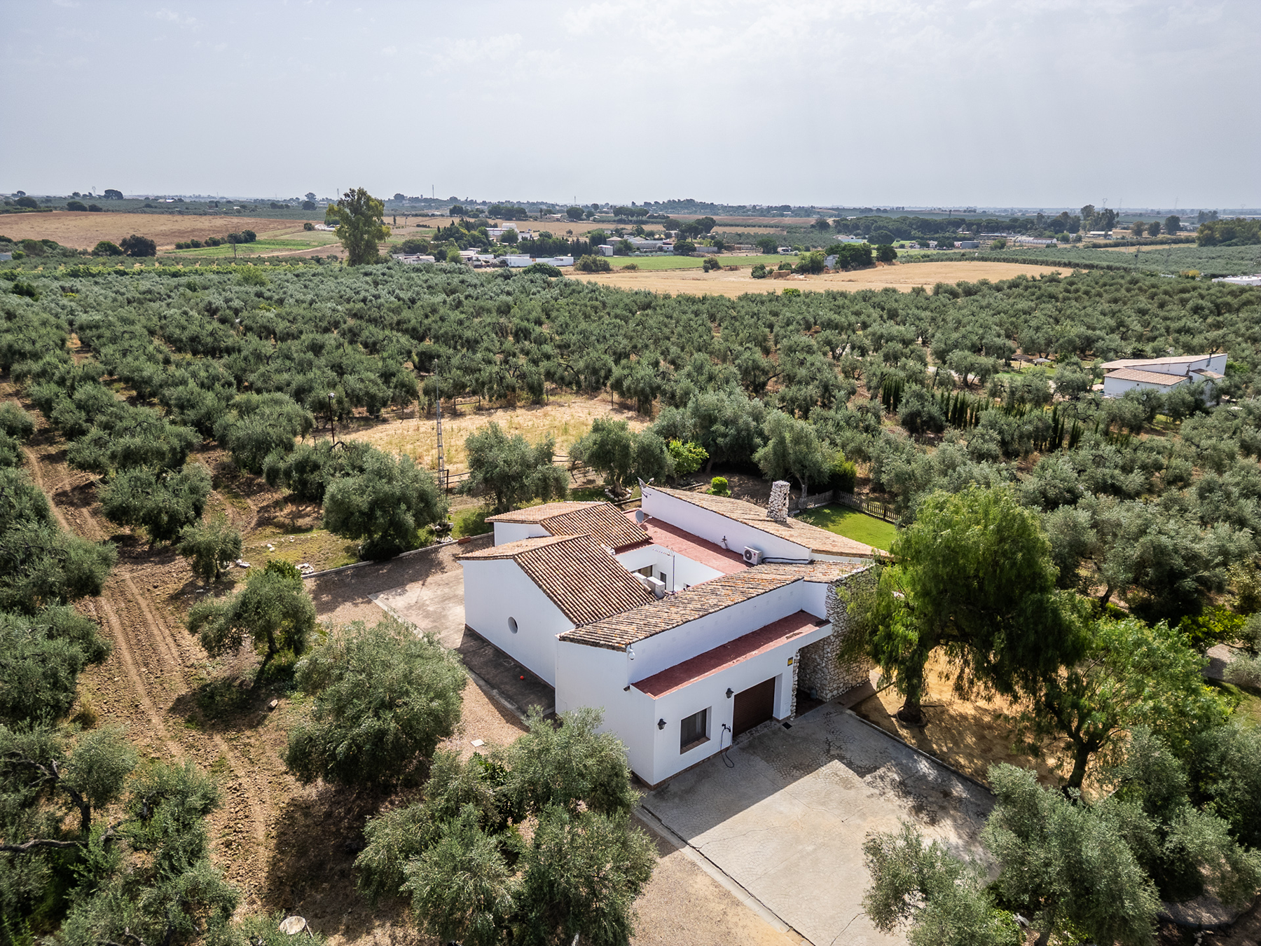  Exclusive equestrian estate next to the Pre-Coto de Doñana - 物件實景