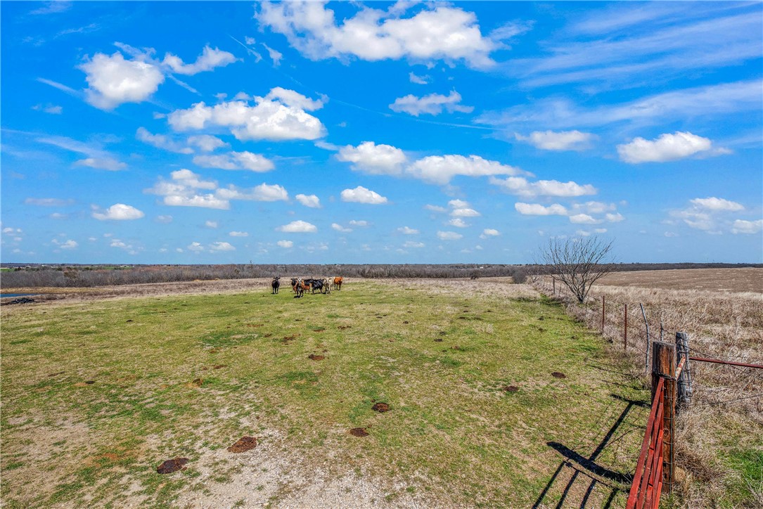 Mart, Texas, 76664, United States, ,Land,For Sale,1981201
