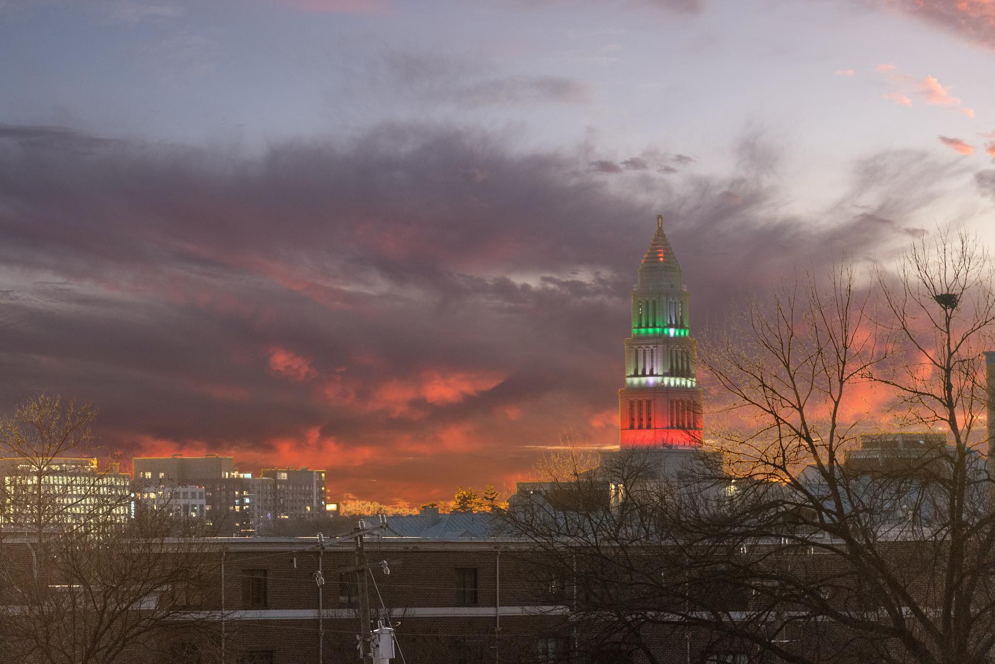  815 N Patrick Street, Alexandria, VA, 22314 - 物件實景