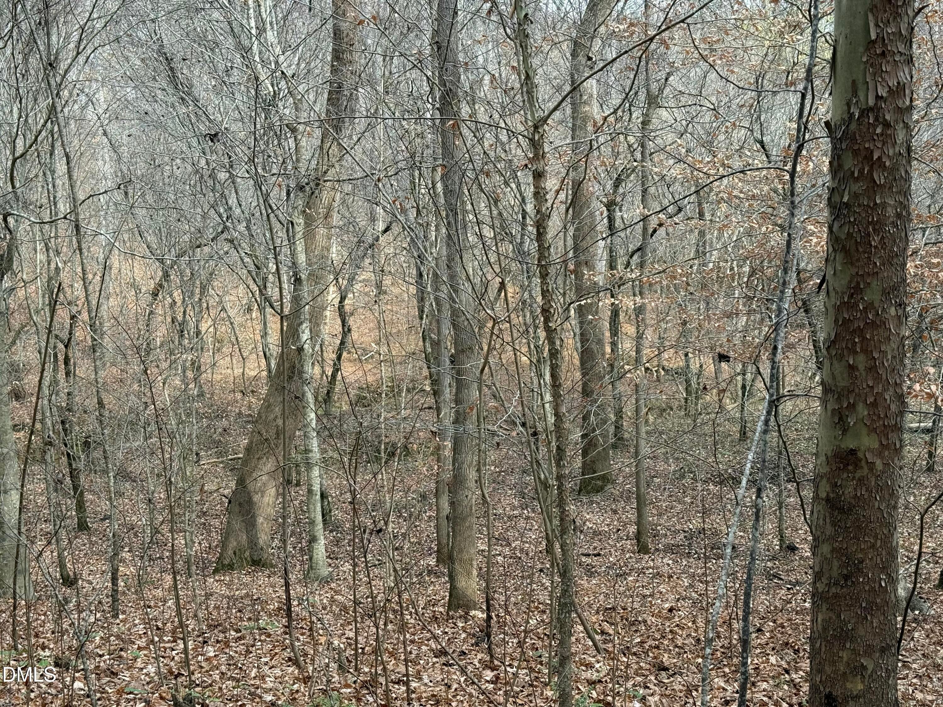 Oxford, North Carolina, 27565, United States, ,Land,For Sale,2000467